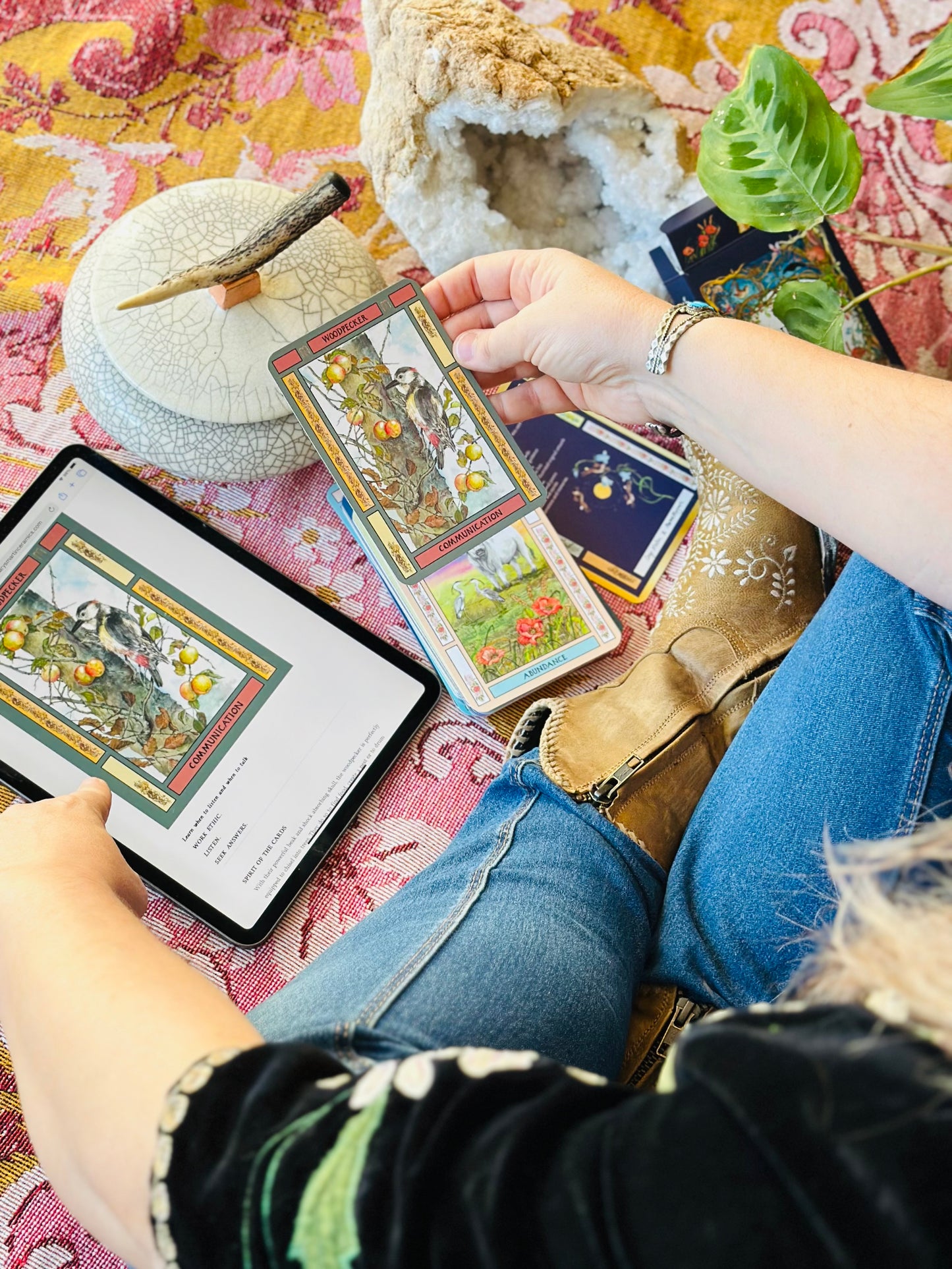 Whispers From The Woods oracle deck and online guide