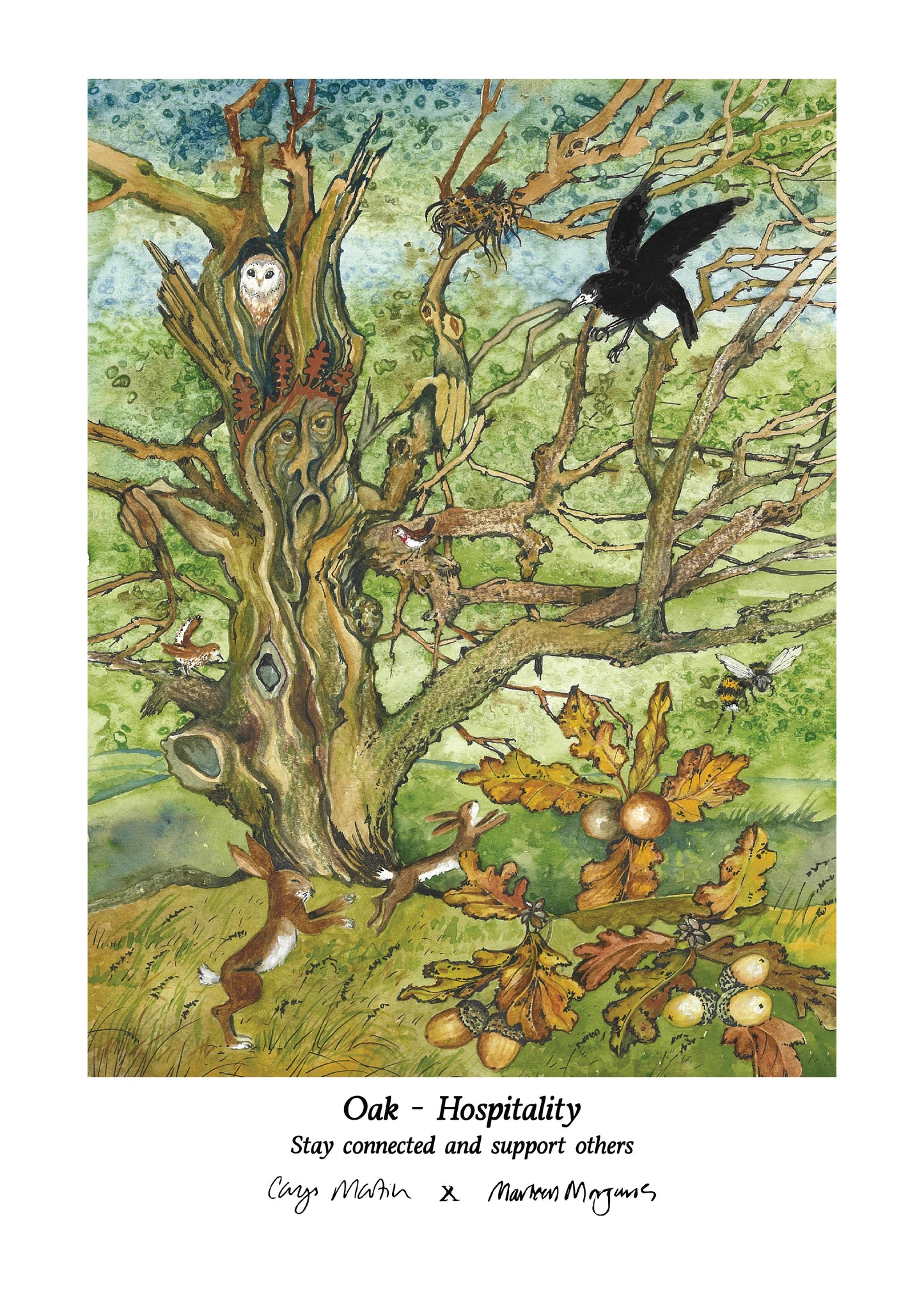 Oak