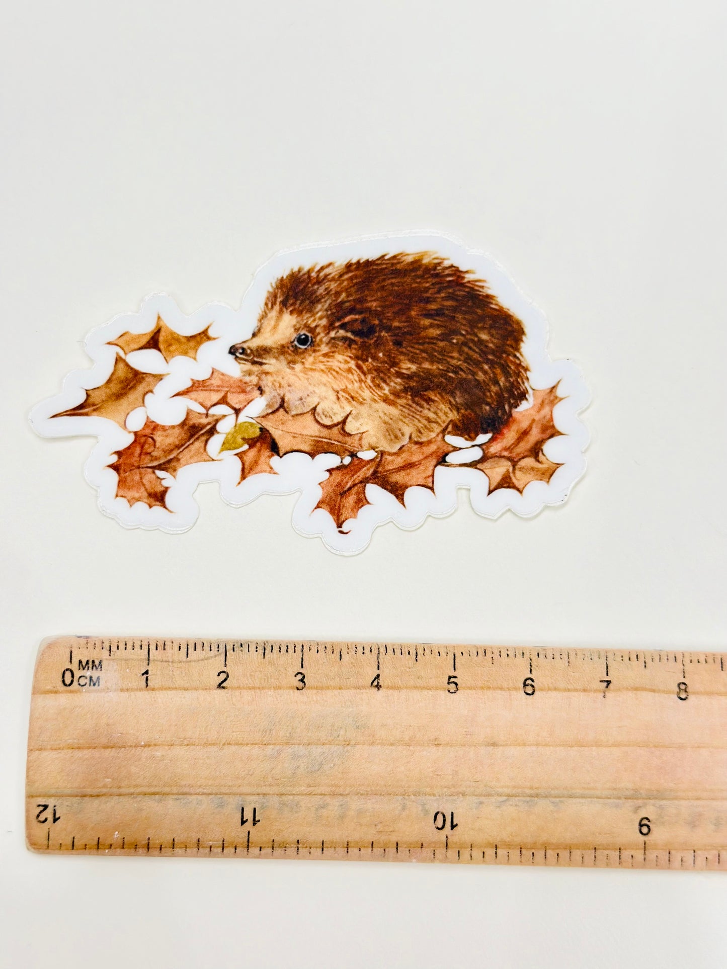 Hedgehog sticker- Whispers From The Woods
