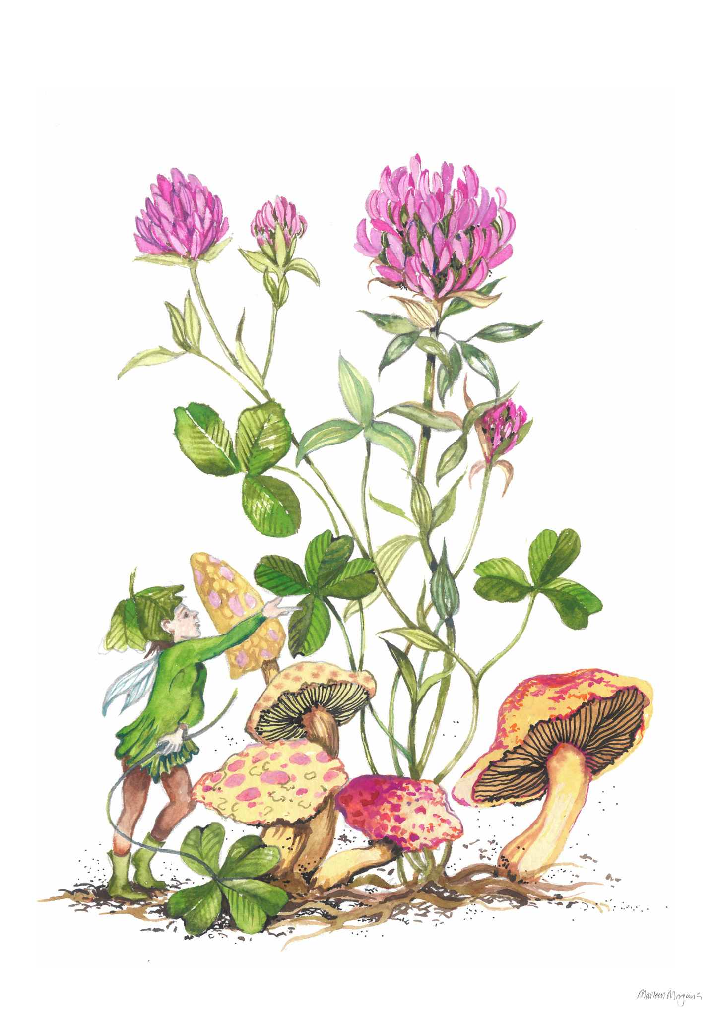 Clover