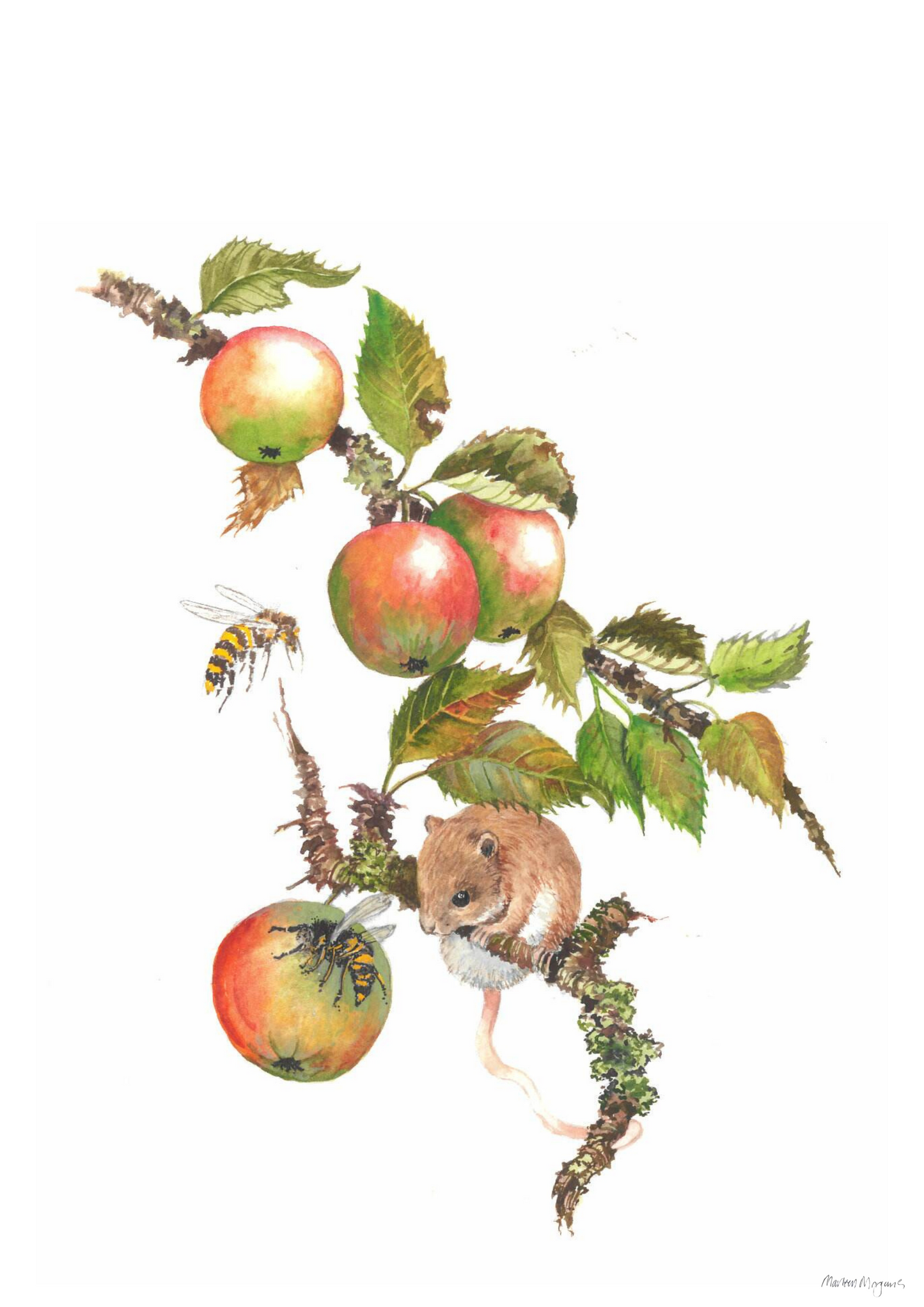Crabapple and Mouse