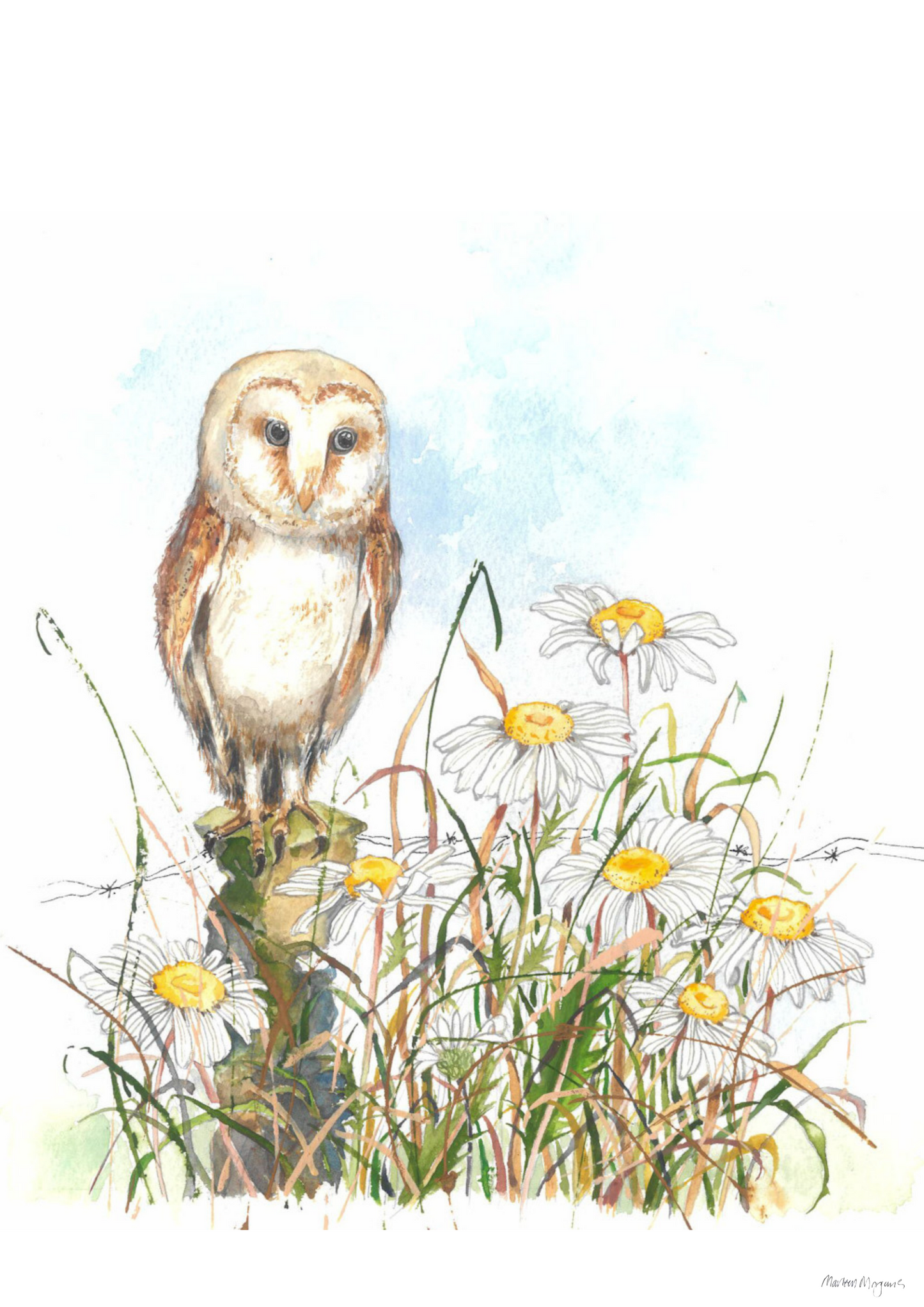 Dog Daisy and Owl