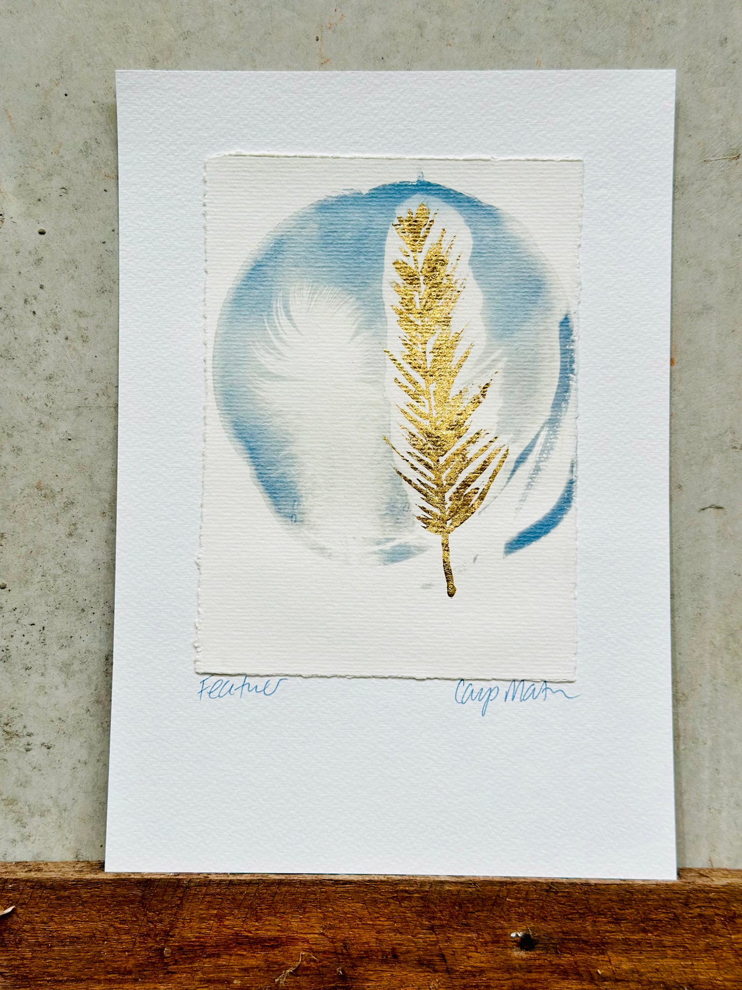 Feather