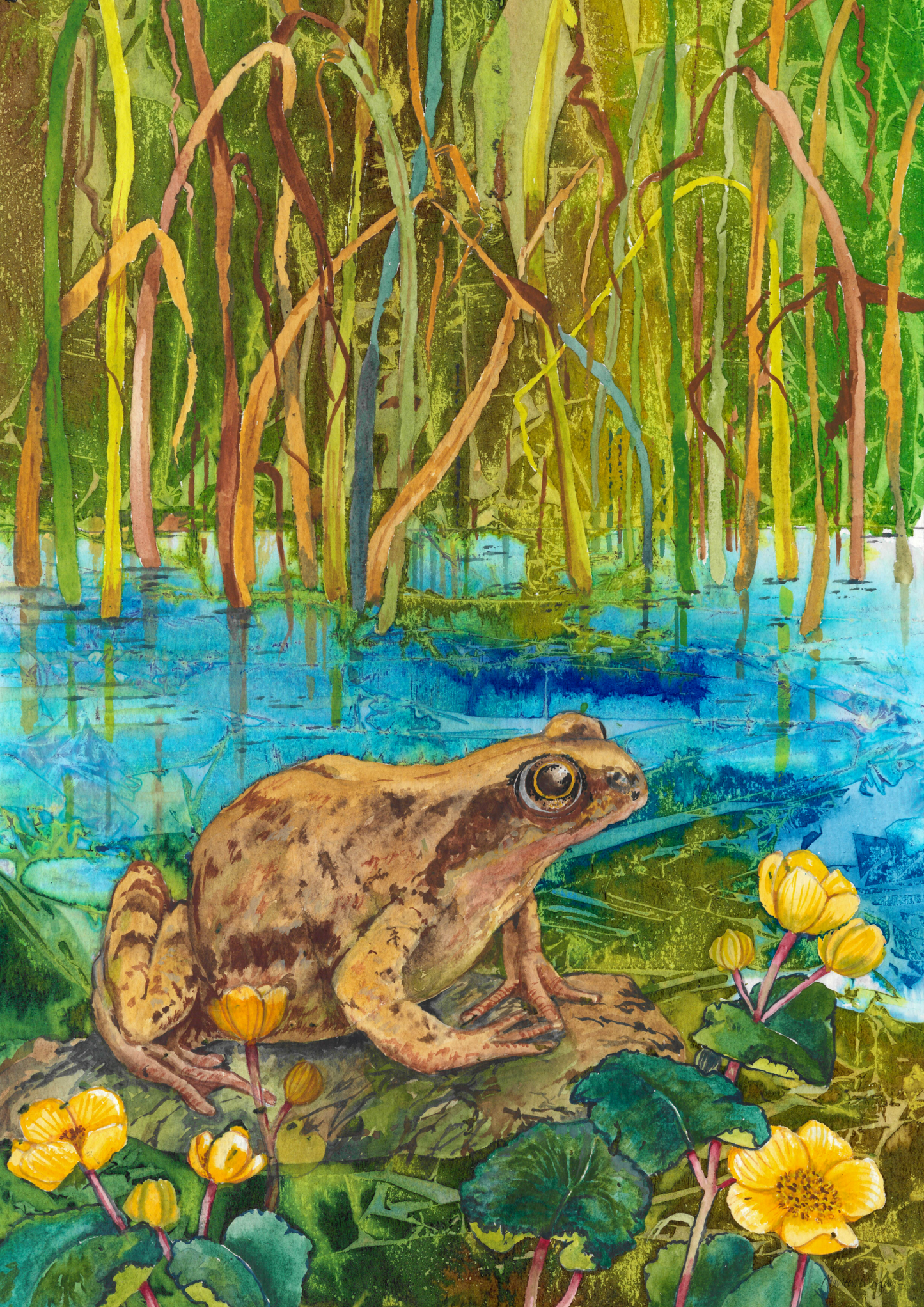 Frog
