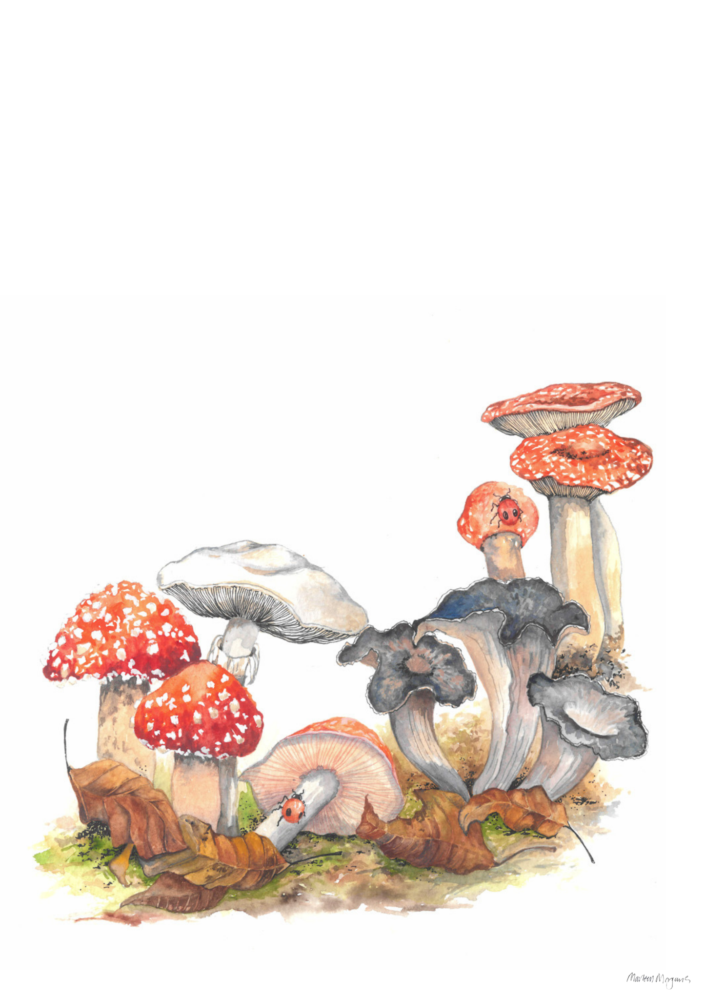 Fungi