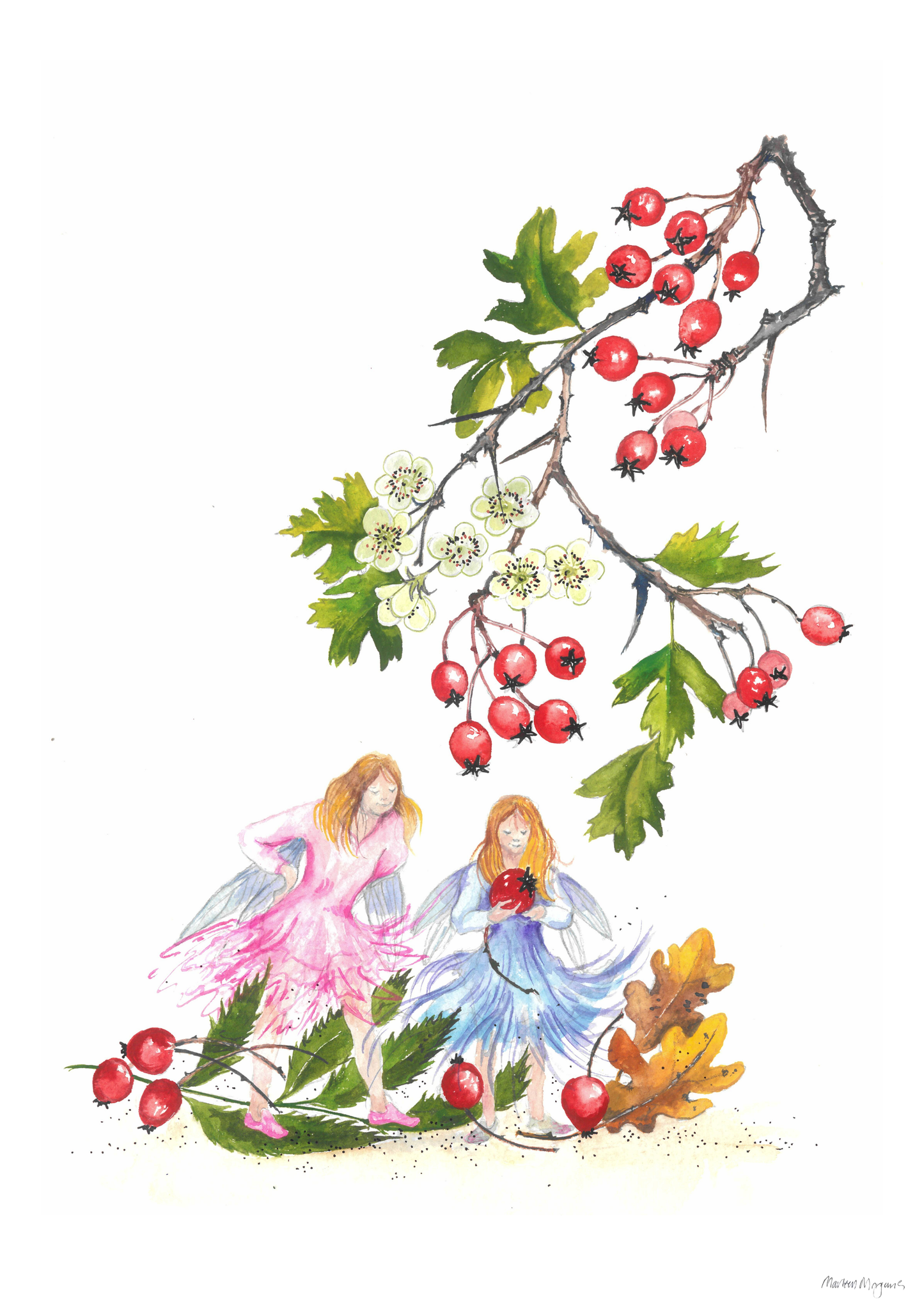 Hawthorn Fae