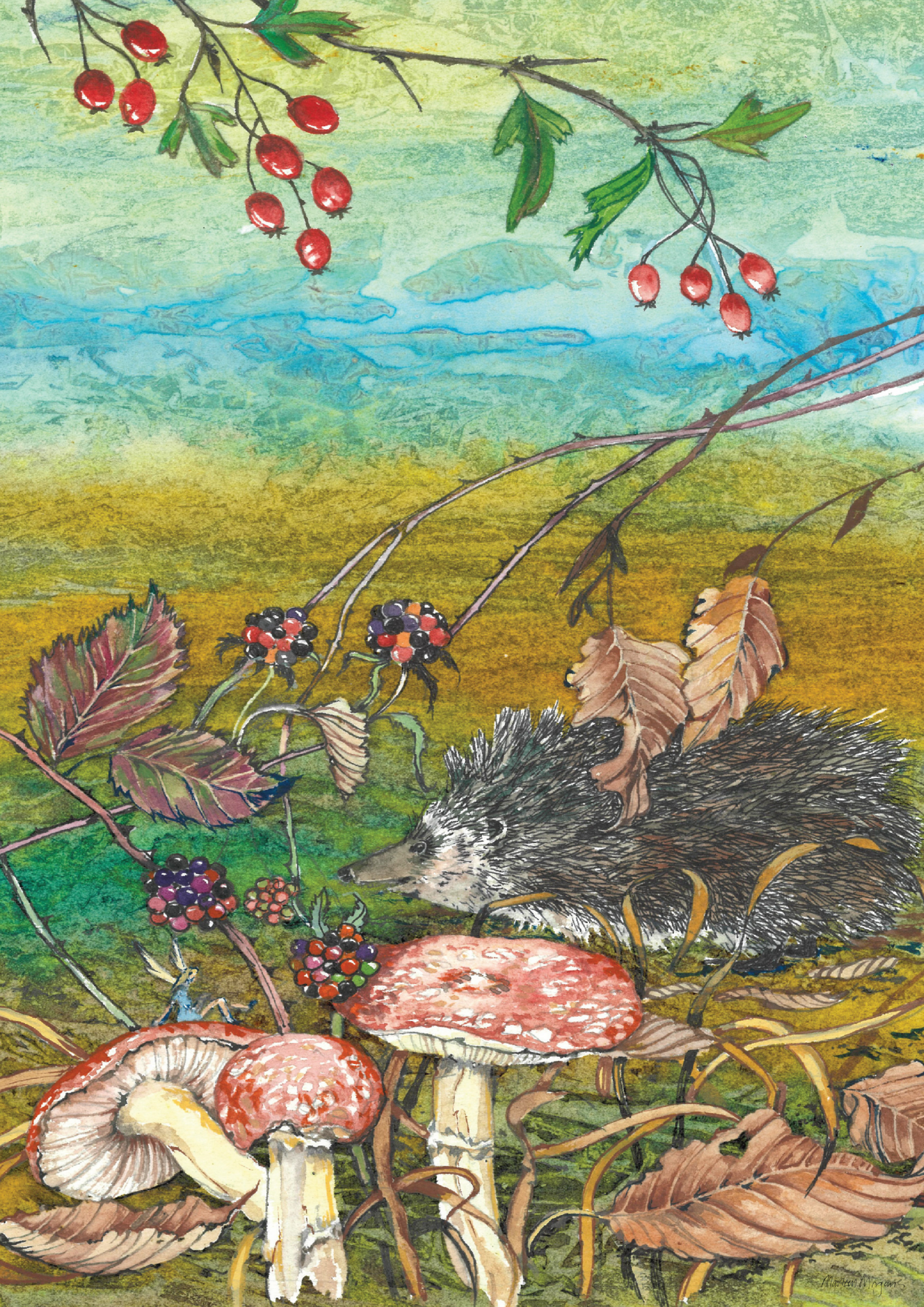 Hedgehog