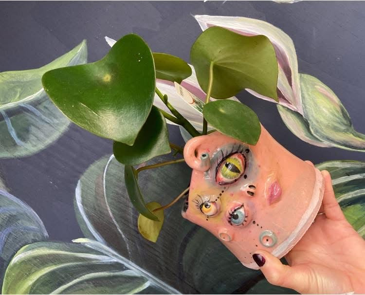 Fri 15th Aug 6-8:30-pm. The Enchanted Planter