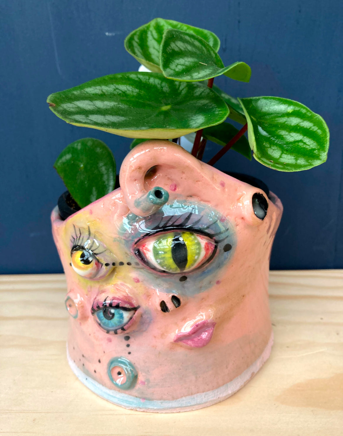 Fri 15th Aug 6-8:30-pm. The Enchanted Planter