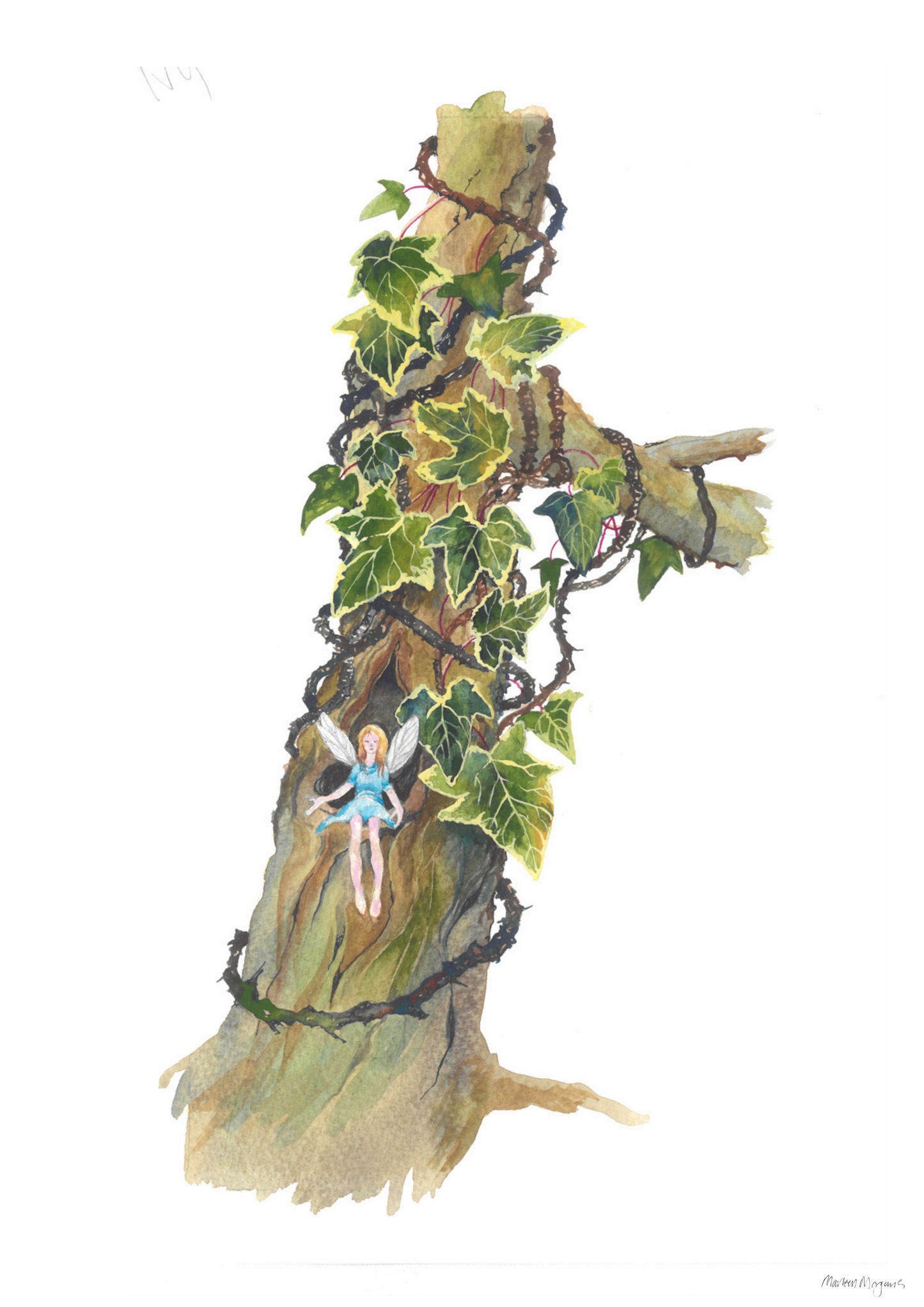 Ivy