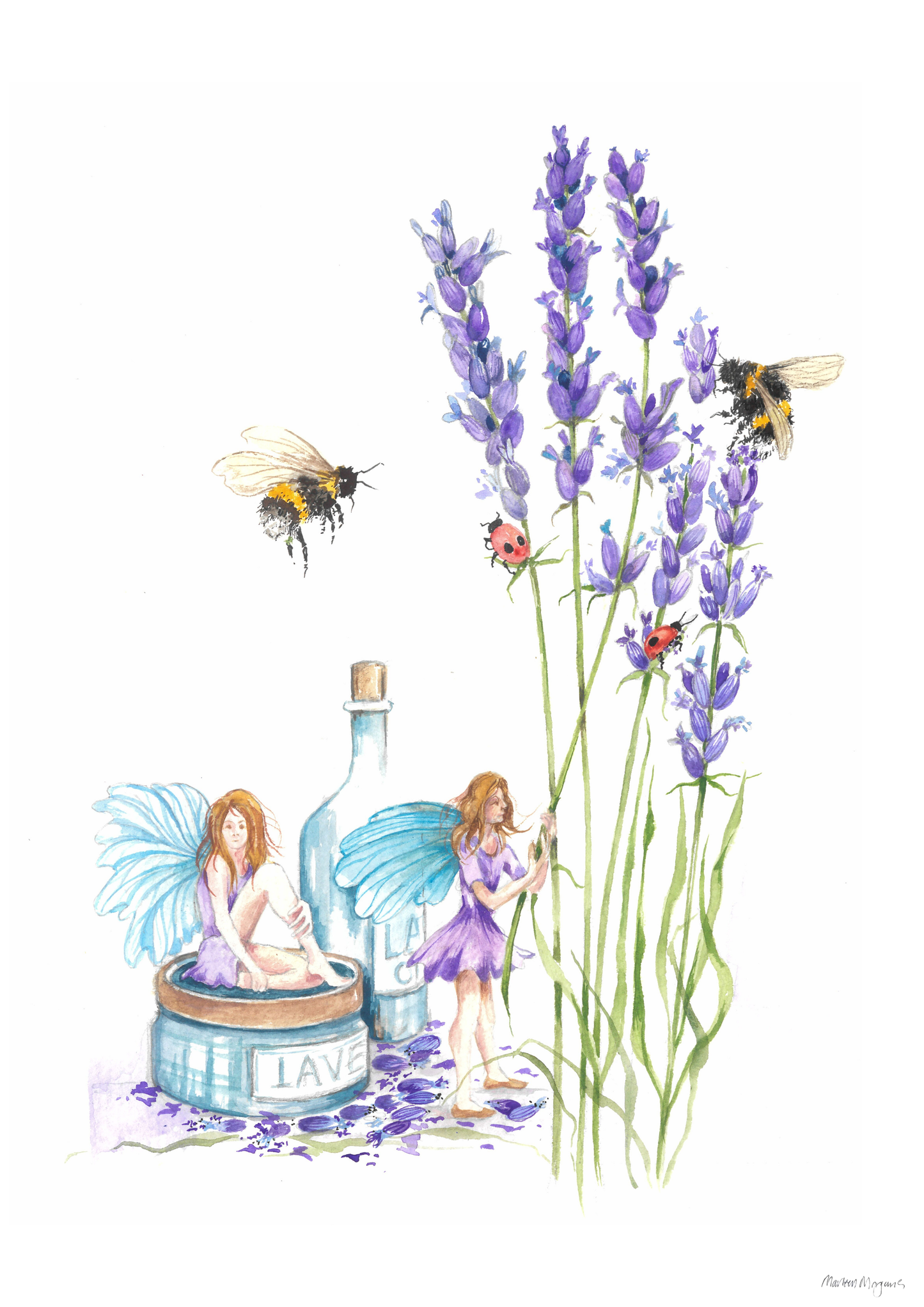 Lavendar