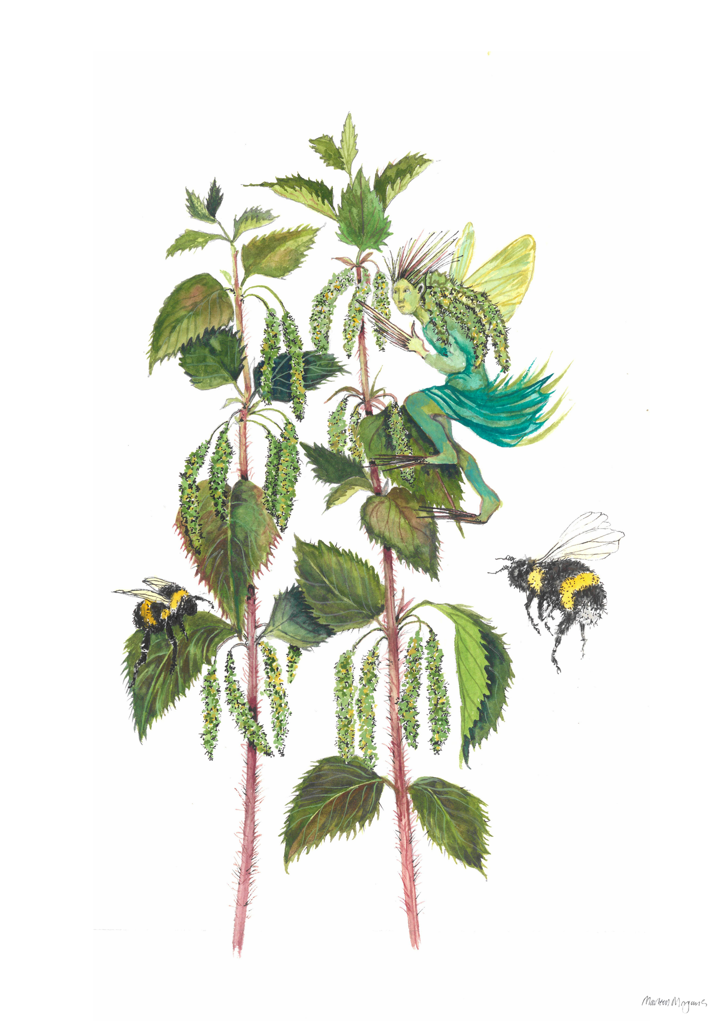 Nettle