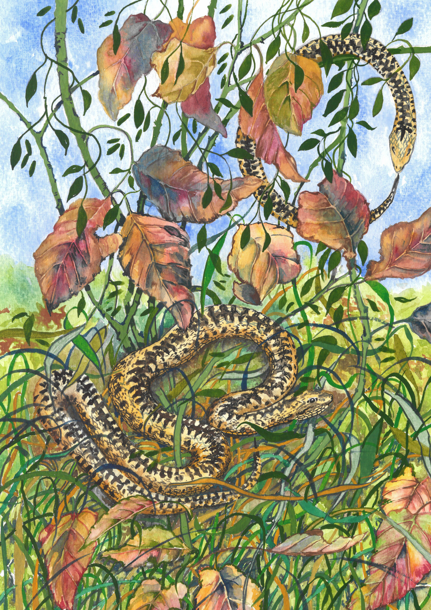 Snake