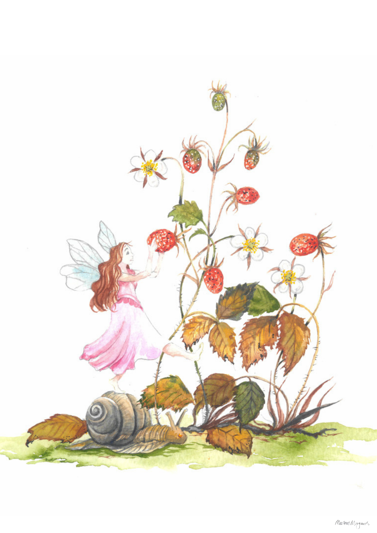 Wild Strawberry