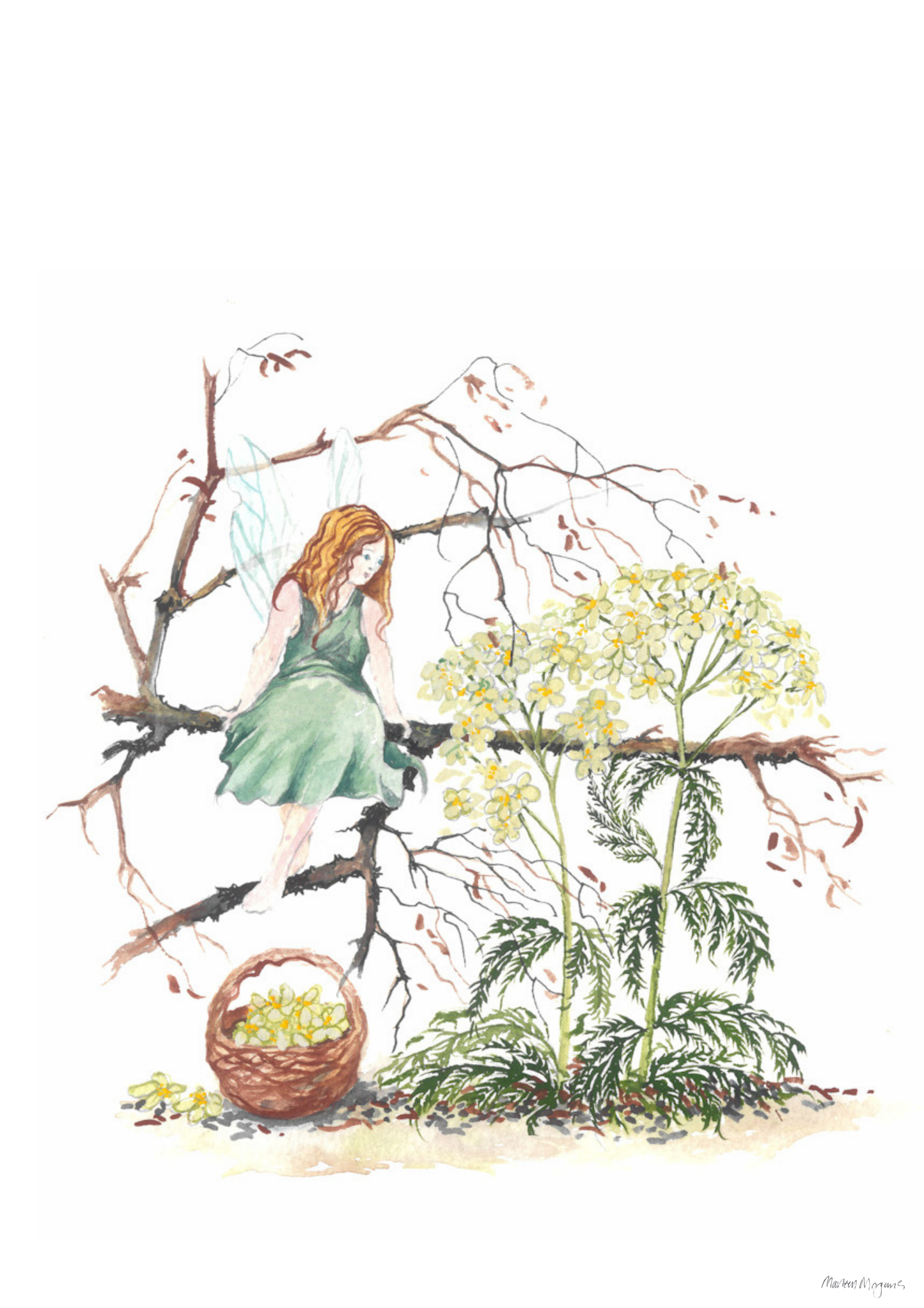 Yarrow