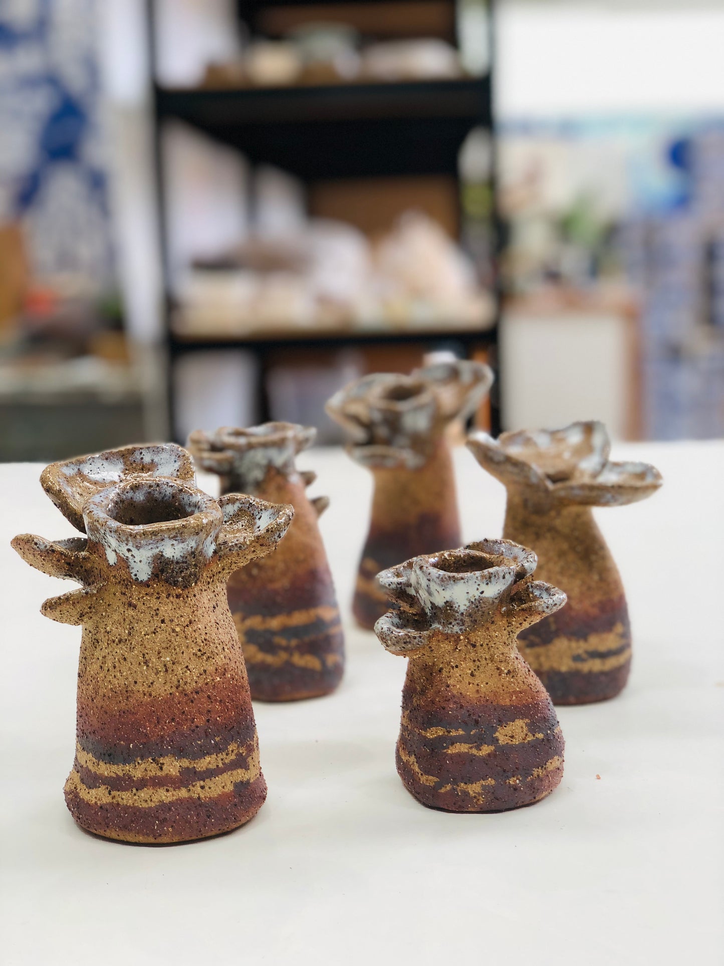 Term 3 2025 Ten Week Term  - Tuesday Evening