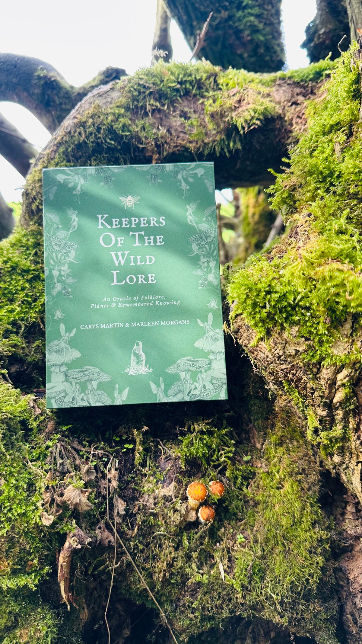 Keepers of the Wild Lore oracle deck and companion book