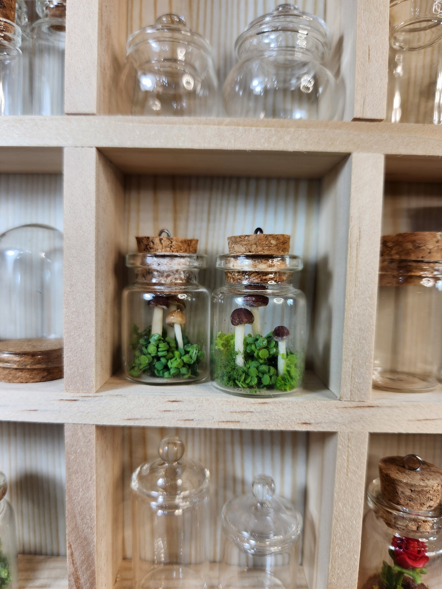 Saturday 18th January 1-3:30pm. Polymer Clay - Fairy Jar Pendants or Terrariums