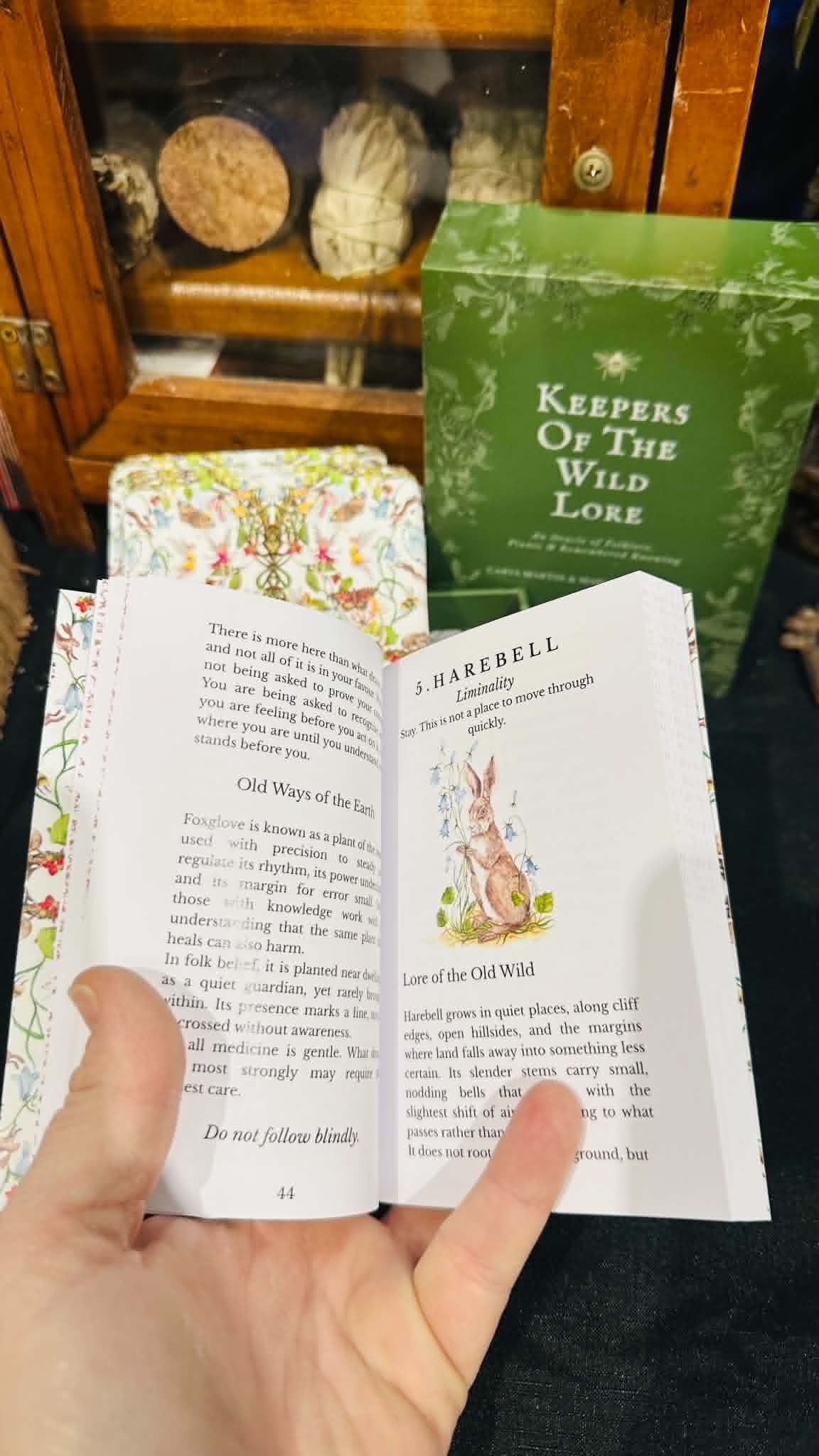 PRE ORDER AVAILABLE NOW -  Keepers of the Wild Lore oracle deck and companion book
