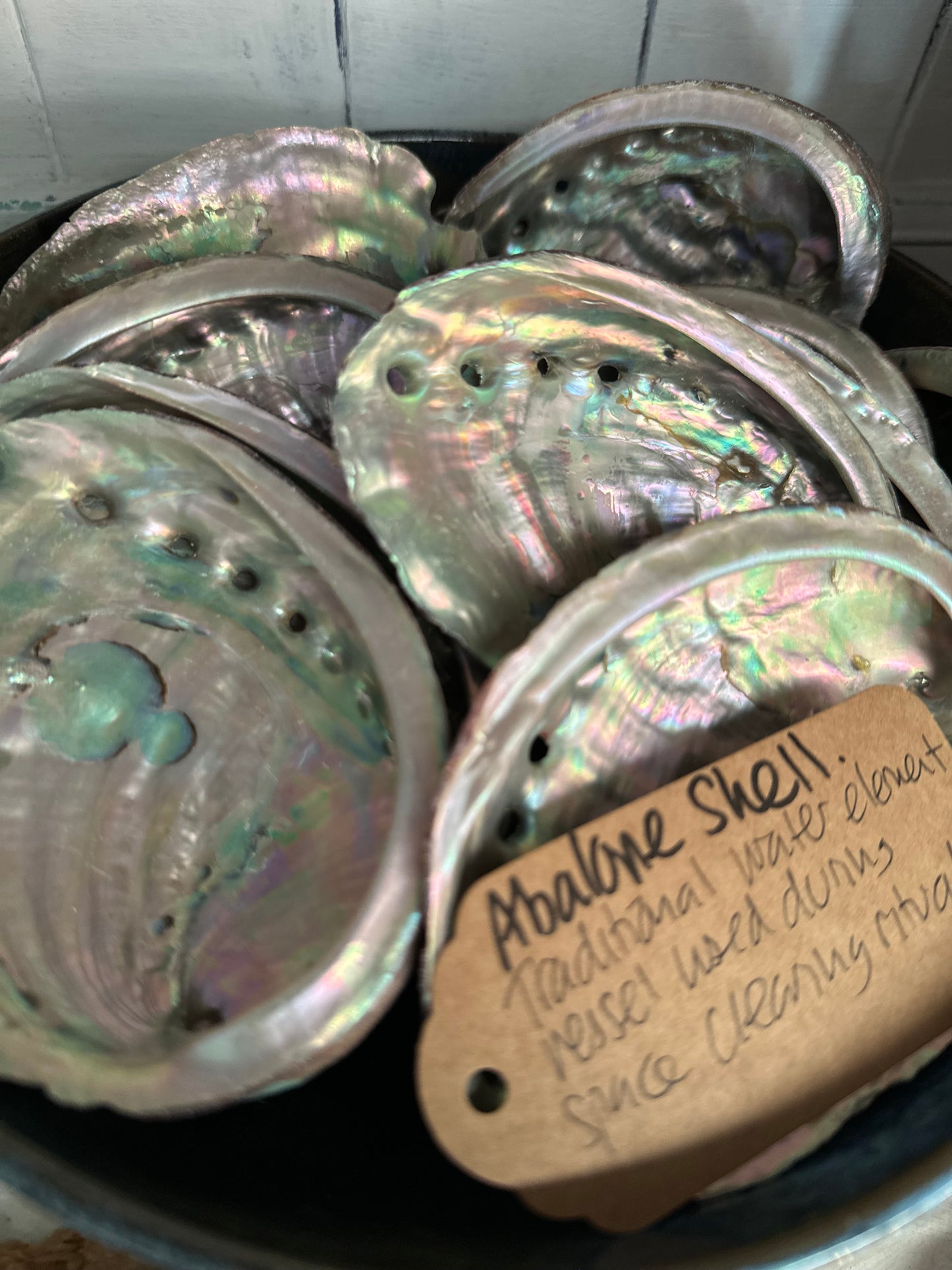 Sustainably Sourced Abalone Shell