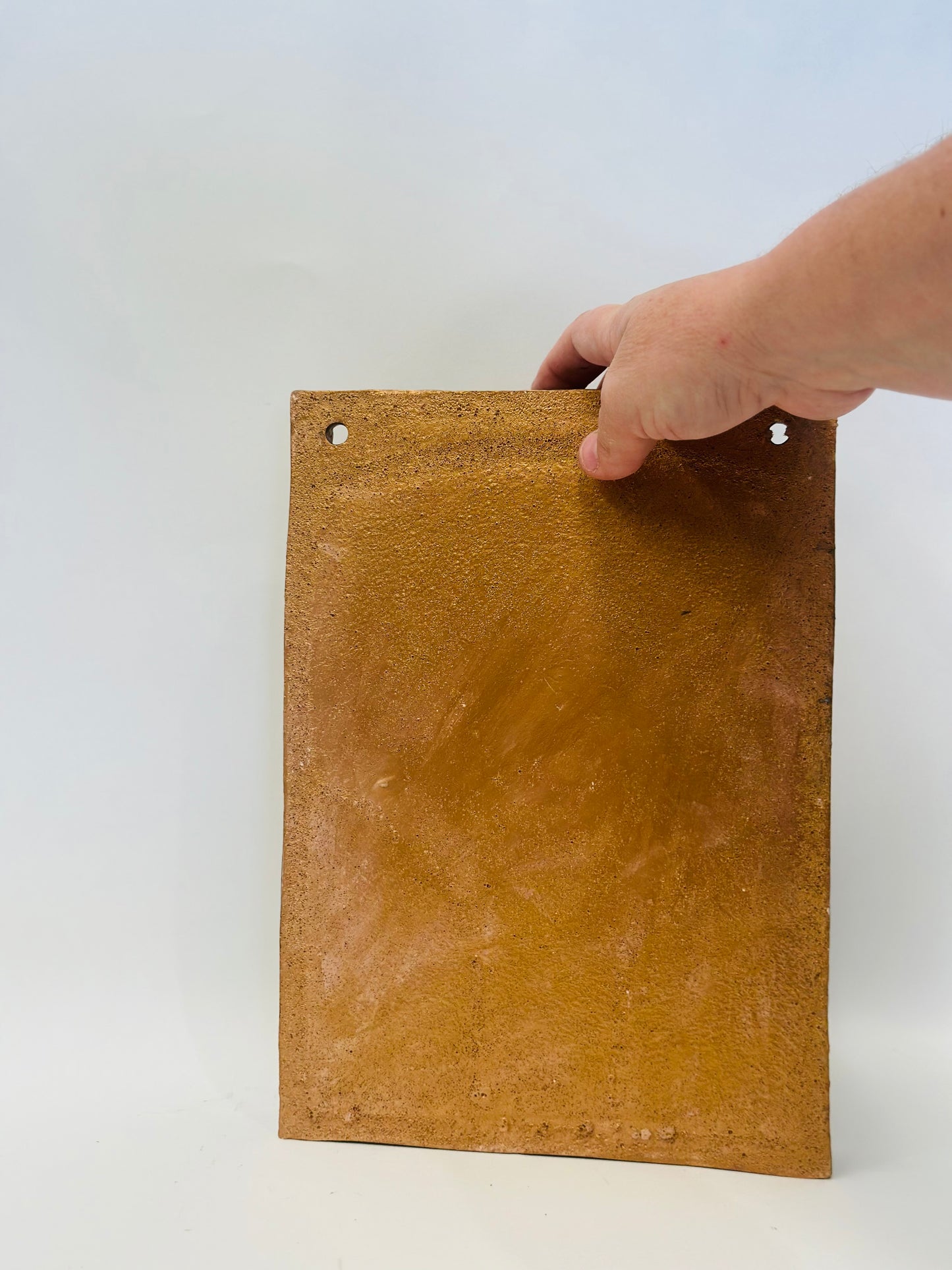 🌀 Celtic Guardian Shrine