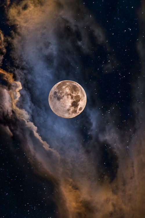 Sun 31st Aug- Endurvinna - Work with the Moon, not against her - awaken the magic written in your bones


An introduction to Lunar Magic
