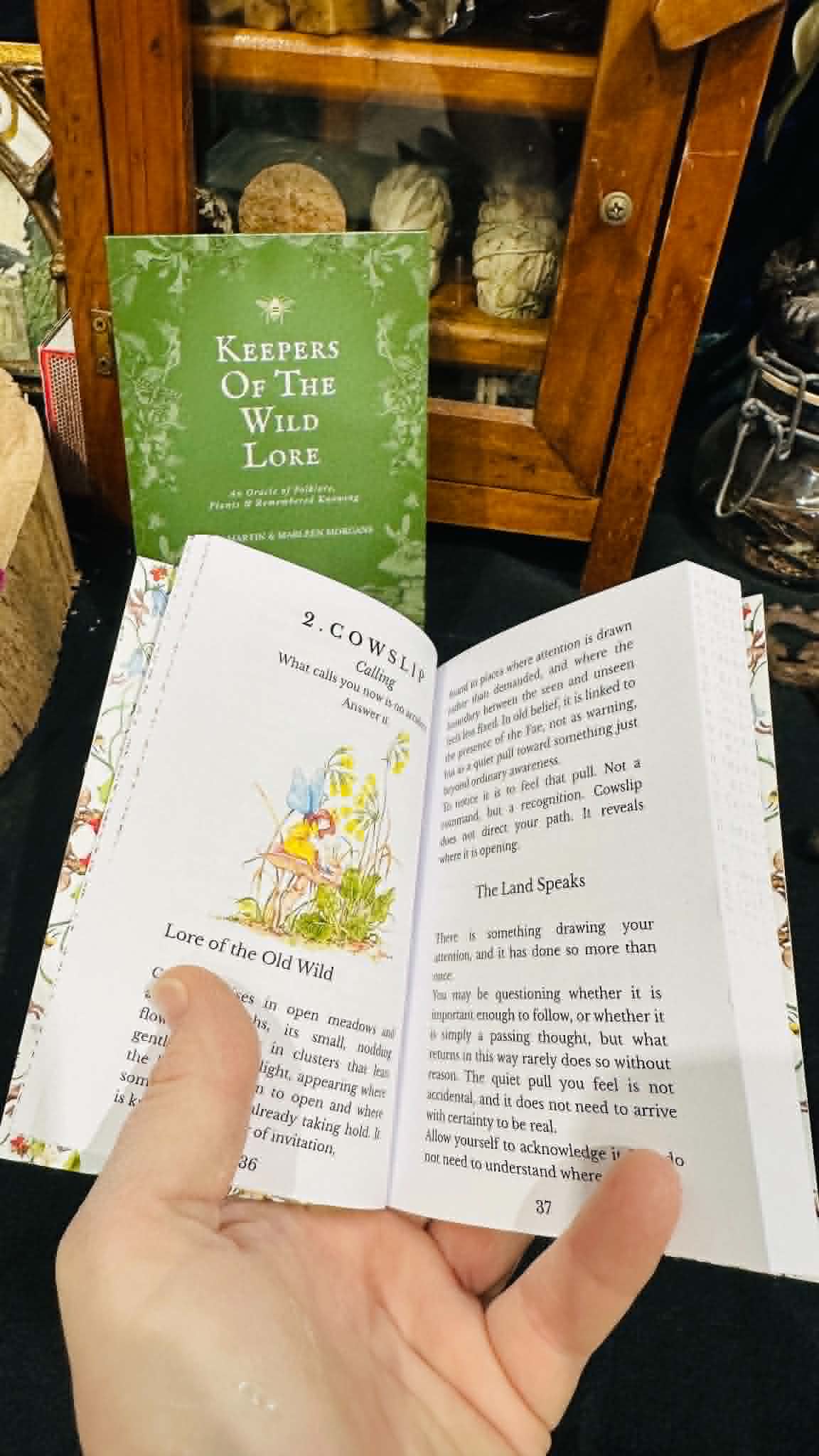 PRE ORDER AVAILABLE NOW -  Keepers of the Wild Lore oracle deck and companion book