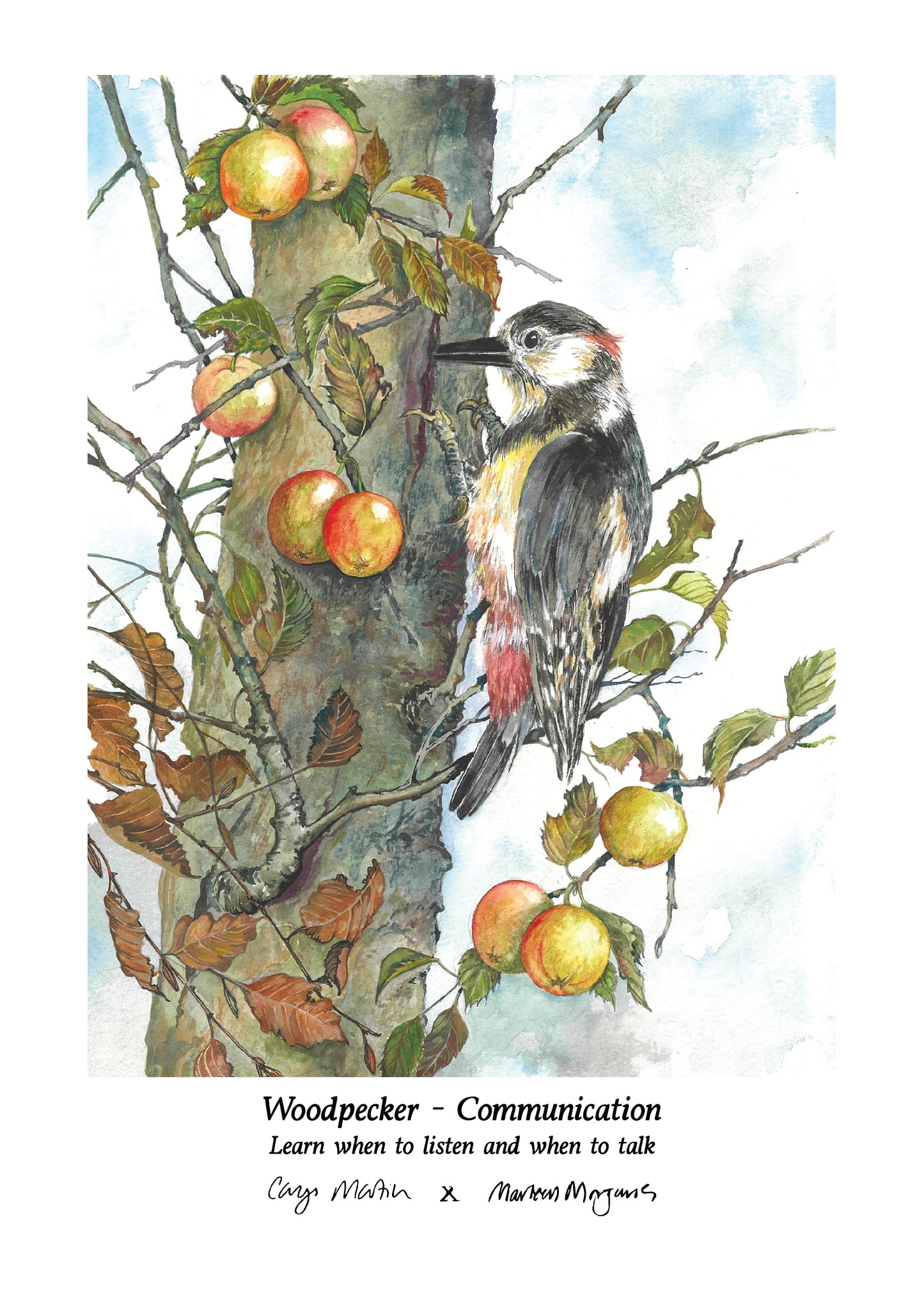 Woodpecker