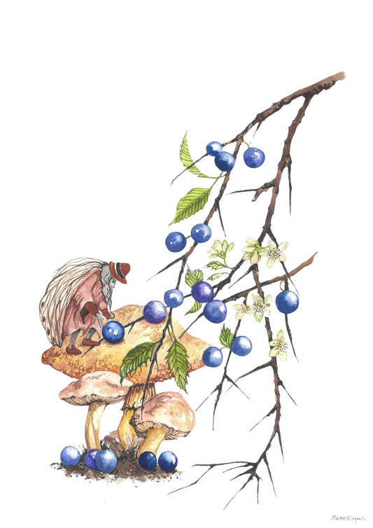 Blackthorn Sloe