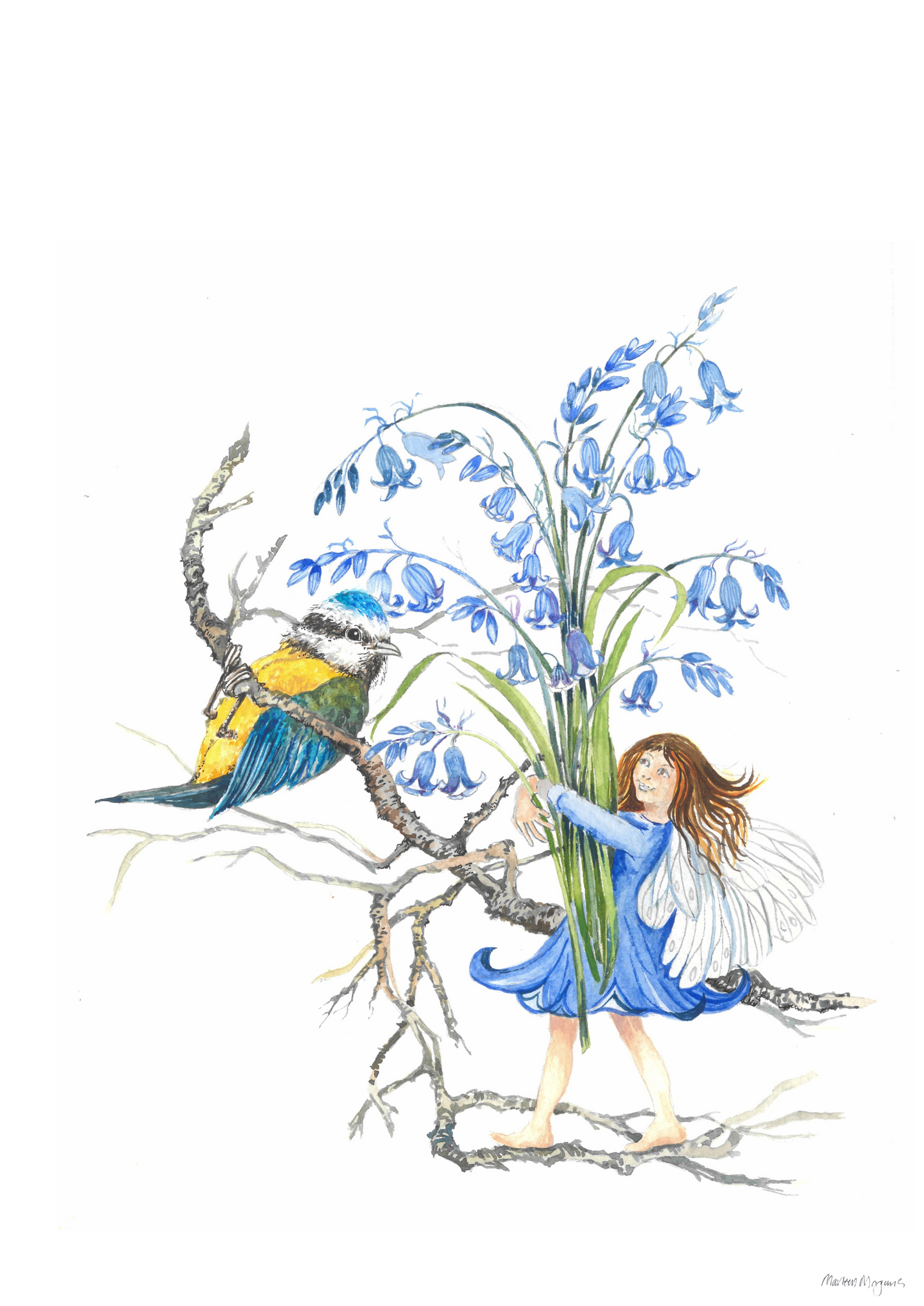Bluebell