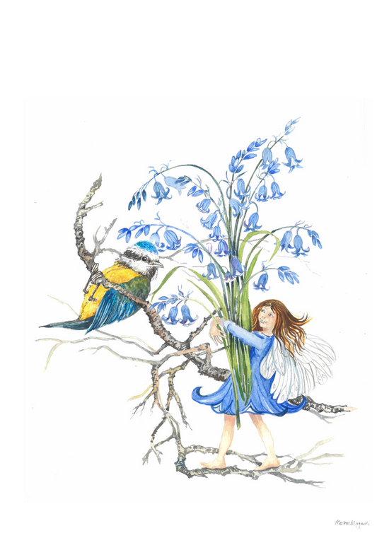 Bluebell