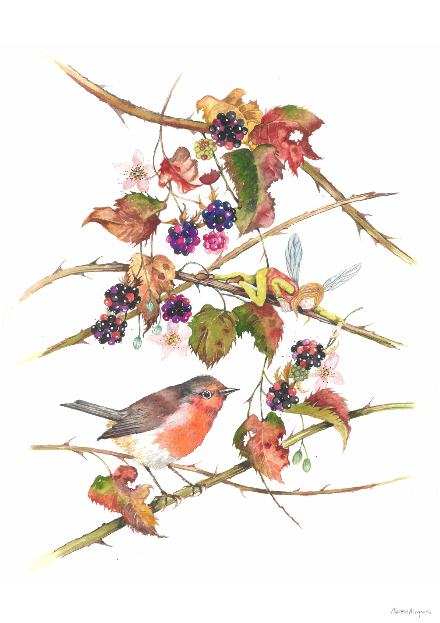 Bramble and Robin
