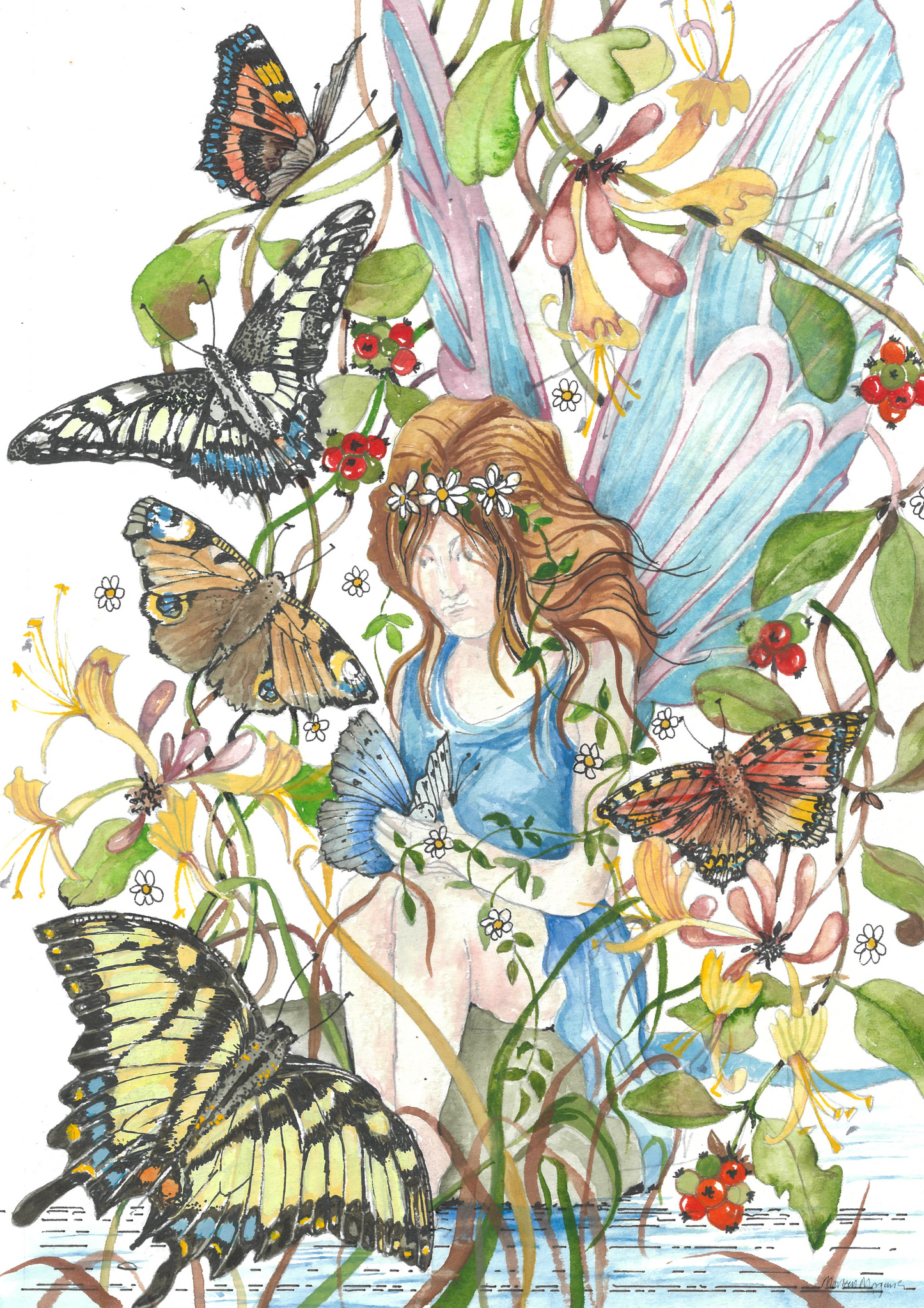 Butterfly