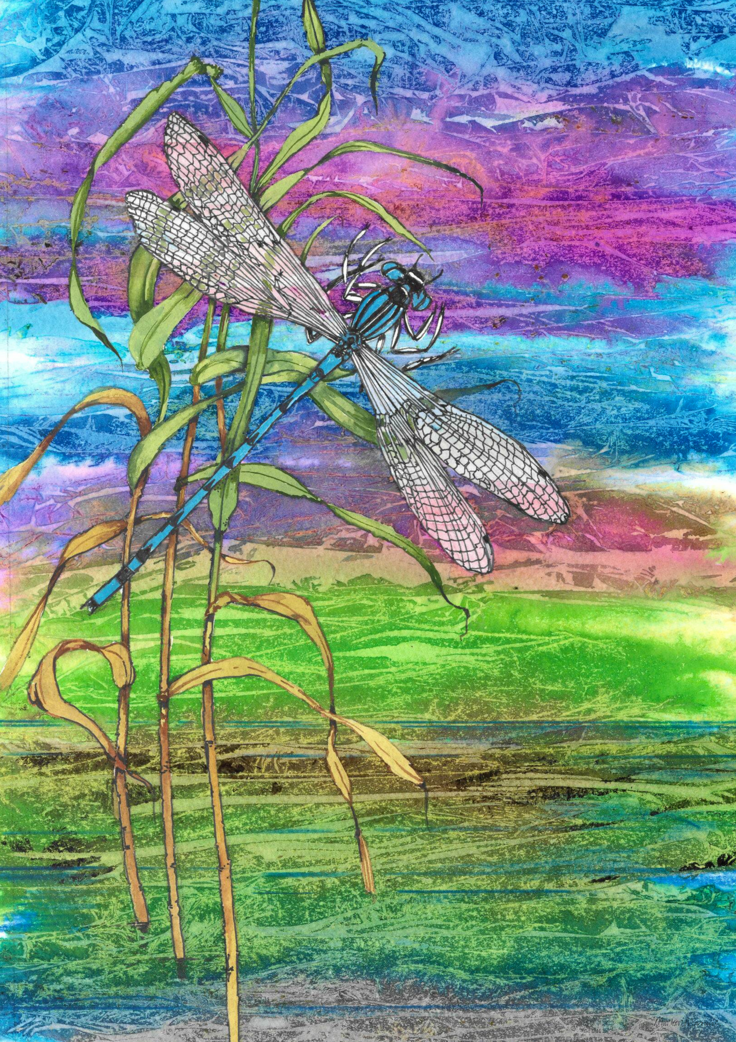 Dragonfly