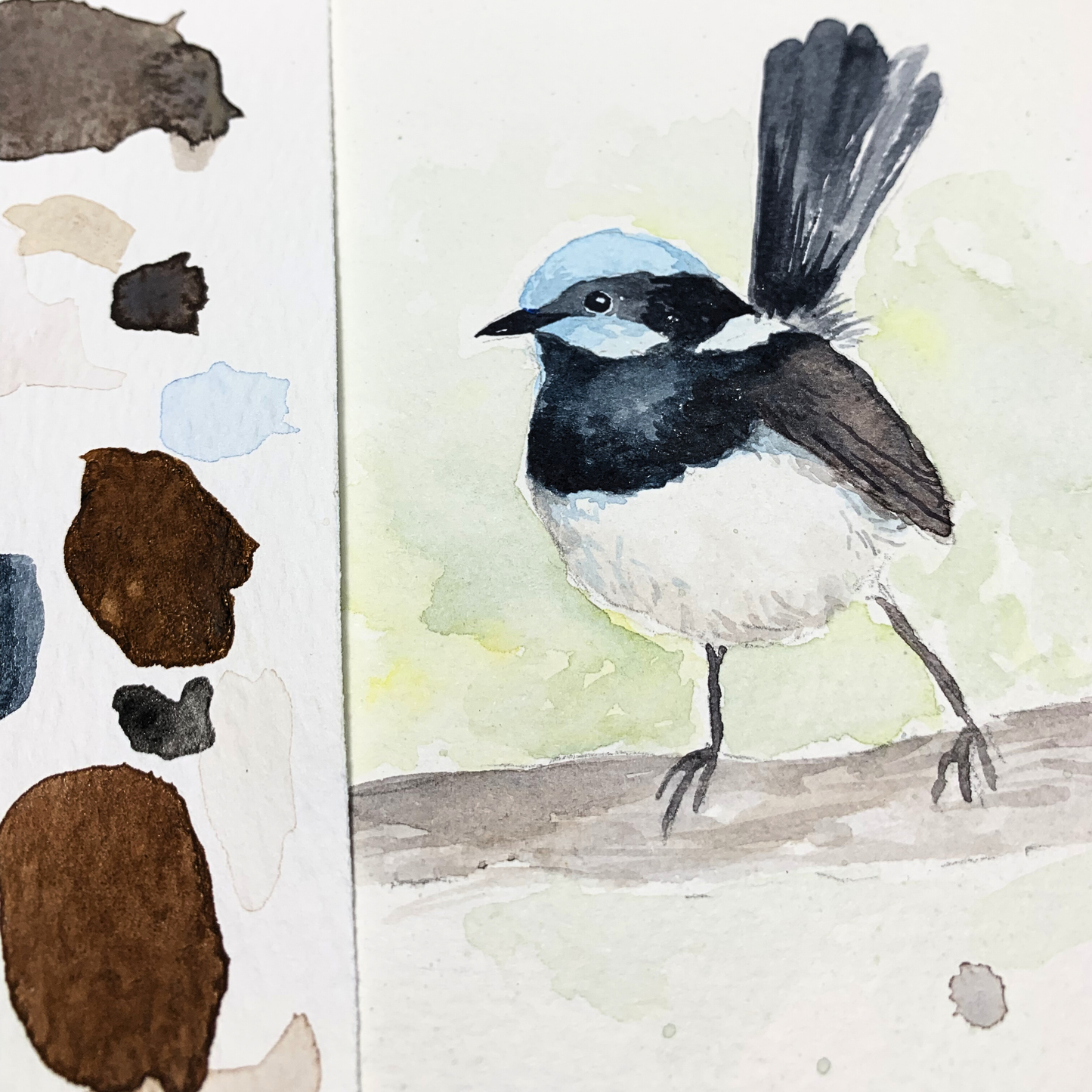 Sat 13th June 2-5pm - Watercolour Workshop Blue Fairy Wren - Advanced Beginner