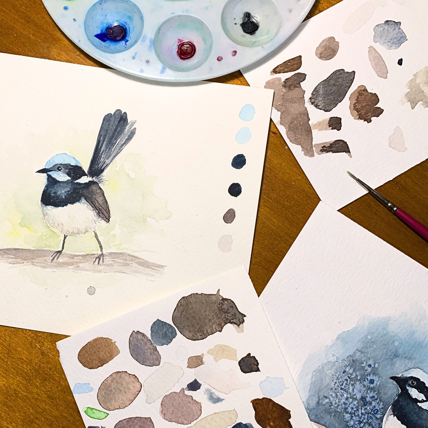 Sat 13th June 2-5pm - Watercolour Workshop Blue Fairy Wren - Advanced Beginner