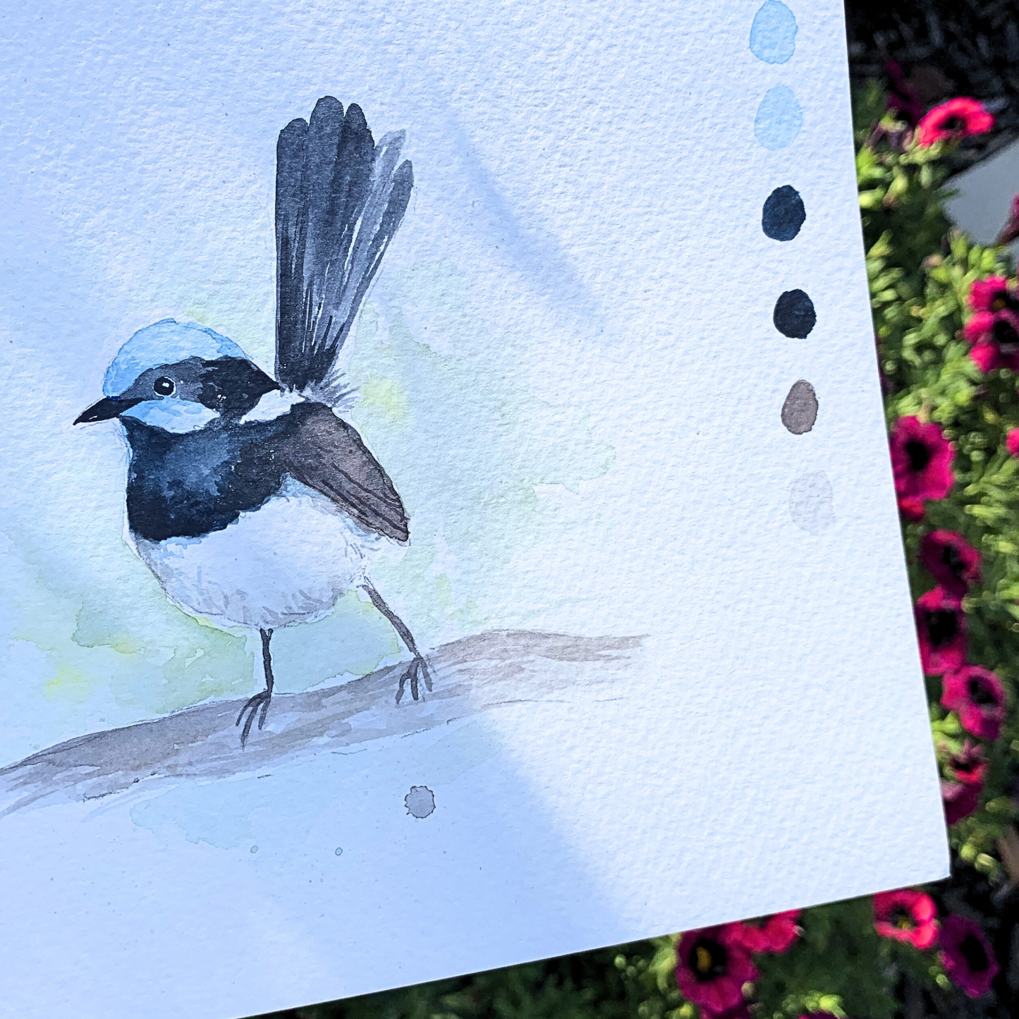 Sat 13th June 2-5pm - Watercolour Workshop Blue Fairy Wren - Advanced Beginner
