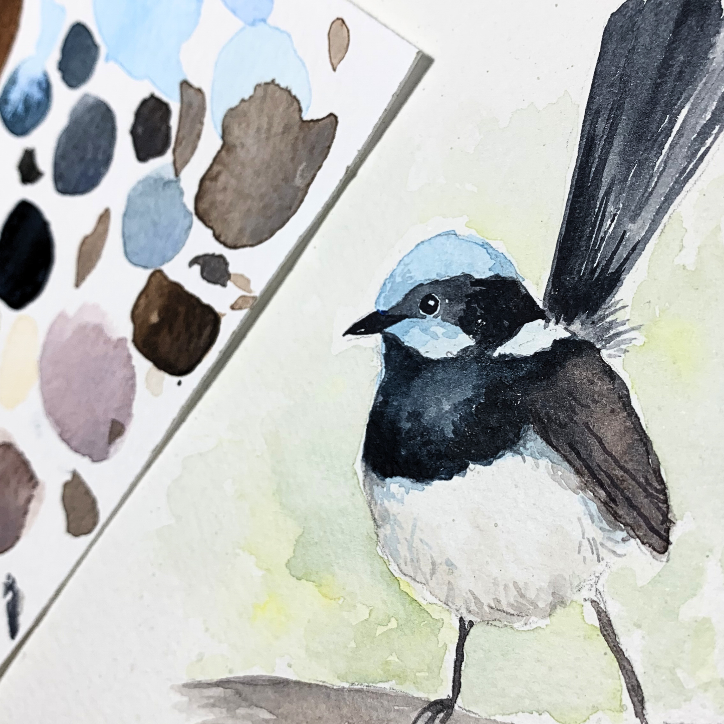 Sat 13th June 2-5pm - Watercolour Workshop Blue Fairy Wren - Advanced Beginner