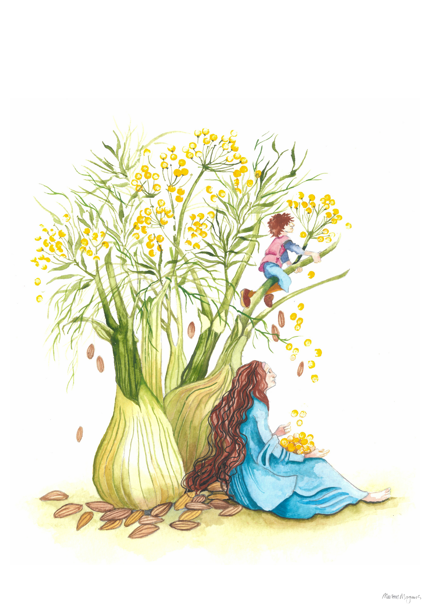 Fennel