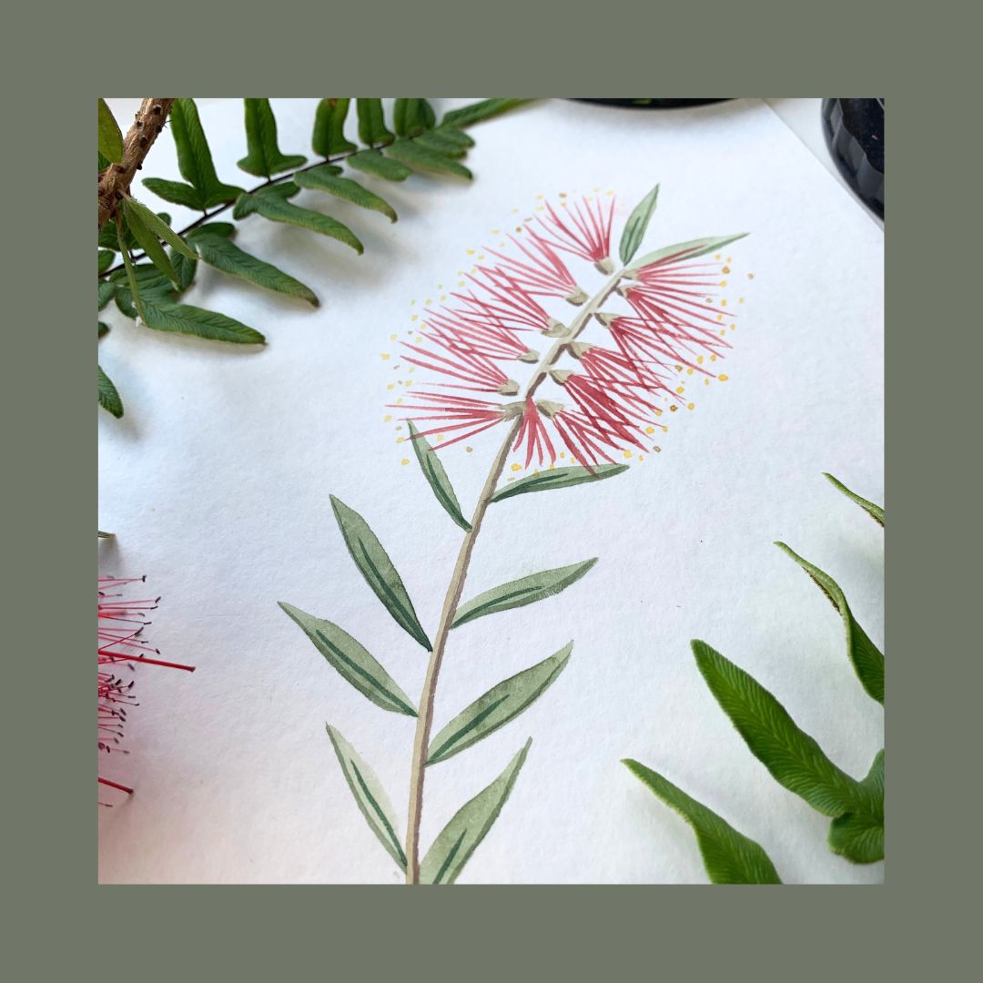 Watercolour Australian Flowers Workshop - Sat 1st March, 2-5pm Introduction to Watercolour Painting