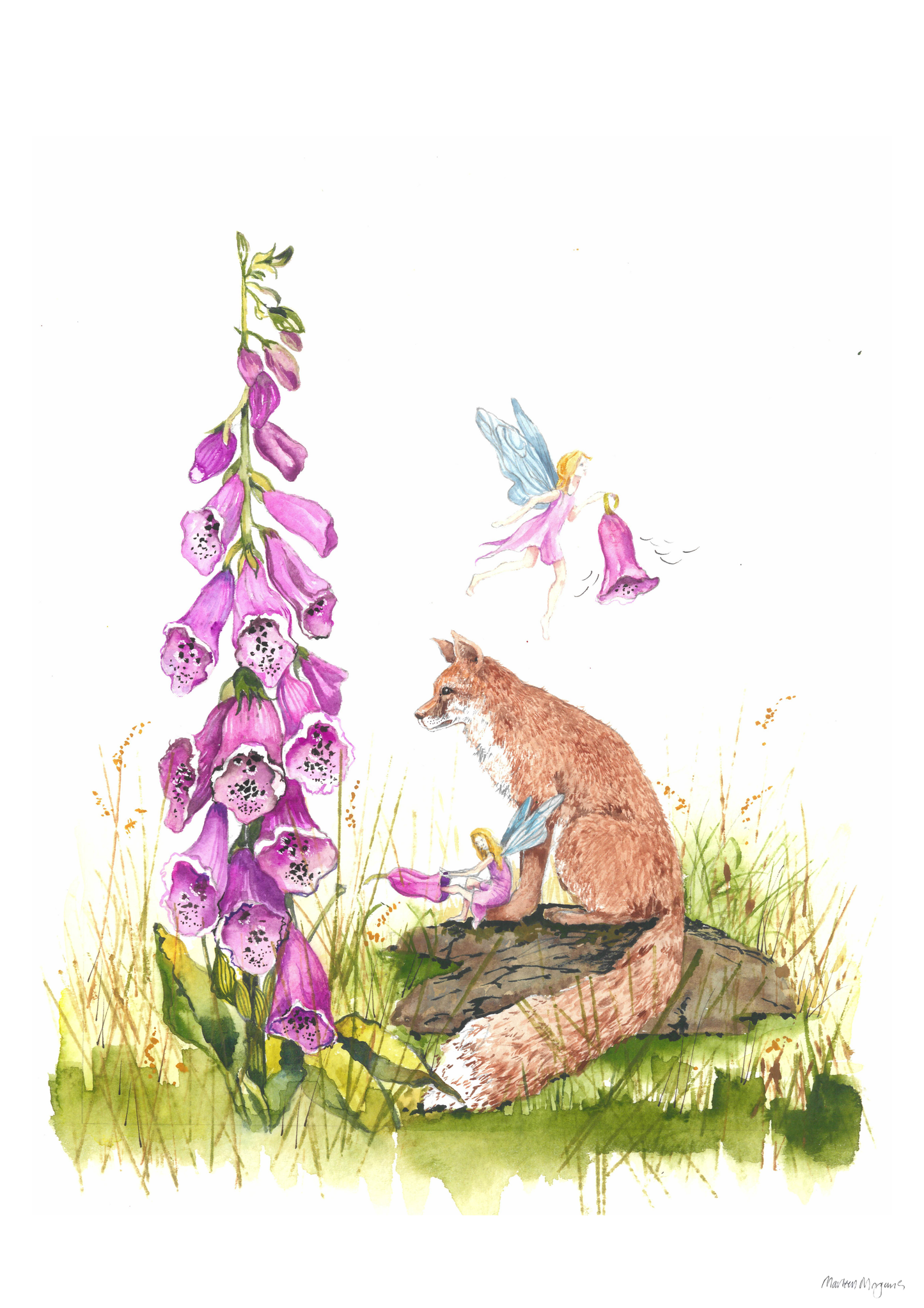 Foxglove
