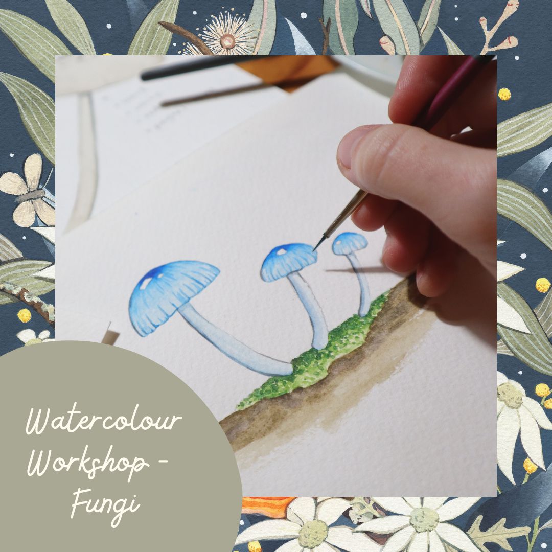 Watercolour Fungi Workshop - Sat 1st March, 10am-1pm Introduction to Watercolour Painting