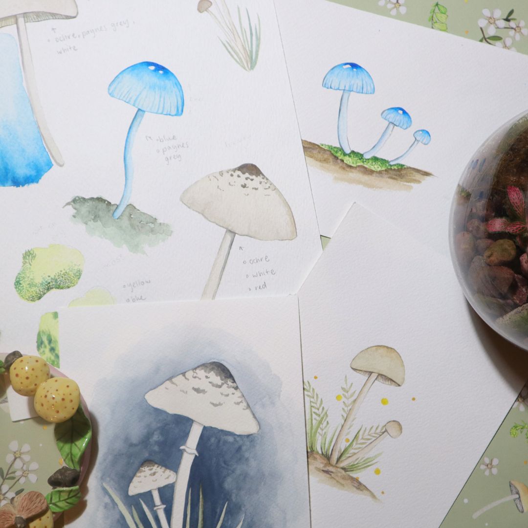 Watercolour Fungi Workshop - Sat 1st March, 10am-1pm Introduction to Watercolour Painting