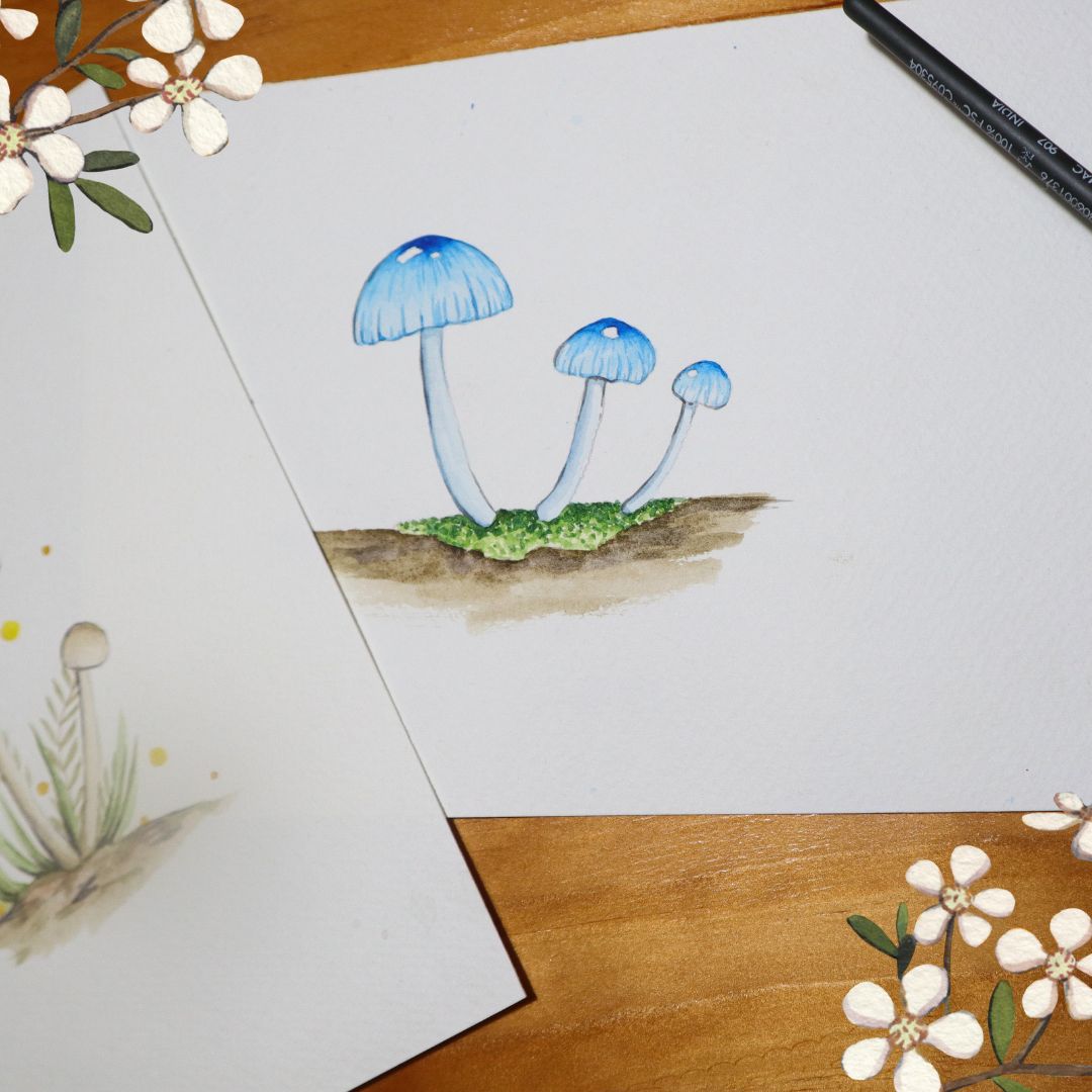 Watercolour Fungi Workshop - Sat 1st March, 10am-1pm Introduction to Watercolour Painting