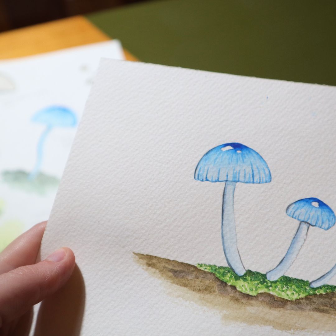 Watercolour Fungi Workshop - Sat 1st March, 10am-1pm Introduction to Watercolour Painting