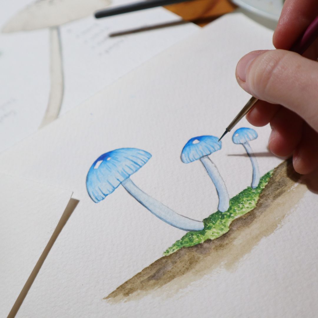 Watercolour Fungi Workshop - Sat 1st March, 10am-1pm Introduction to Watercolour Painting