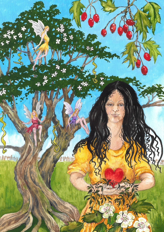 Hawthorn