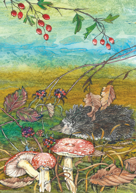 Hedgehog