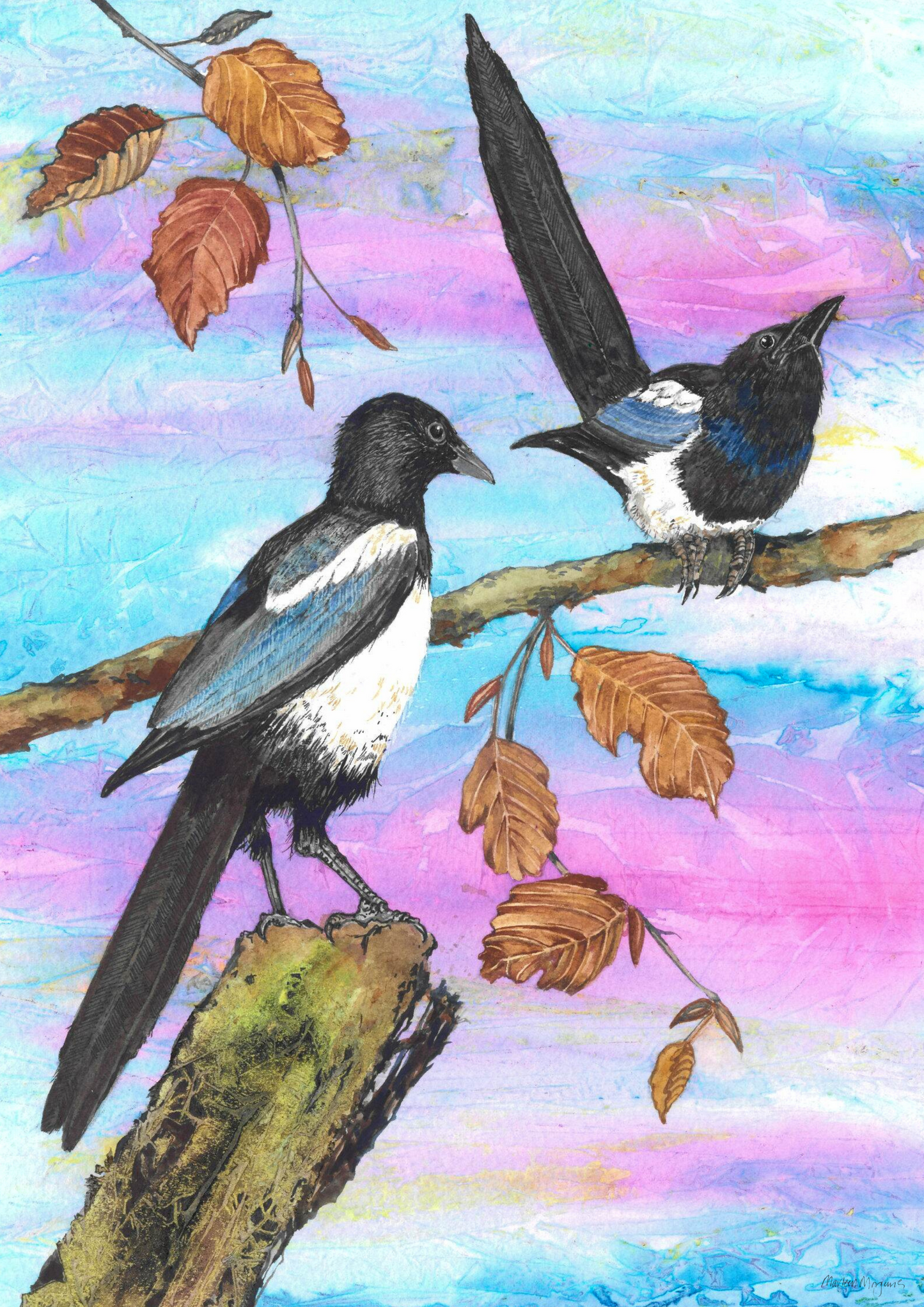 Magpie