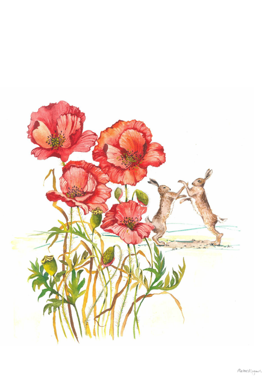 Poppy